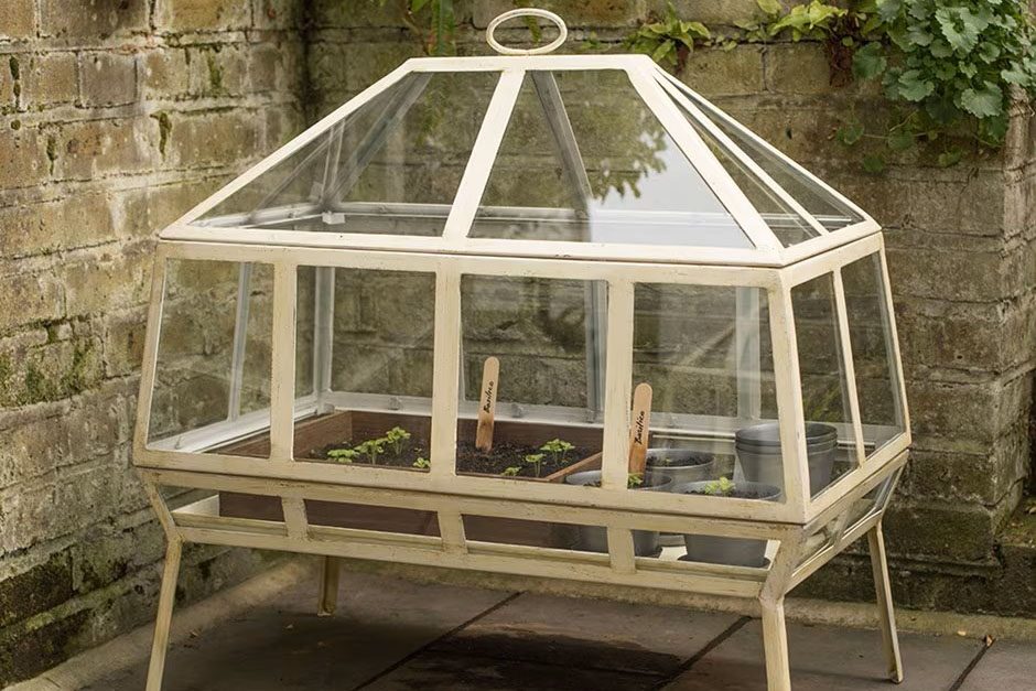 Victorian growhouse on a patio