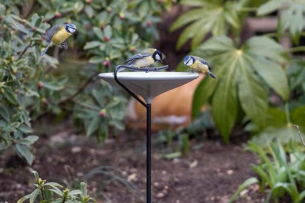 Stake bird bath in a garden