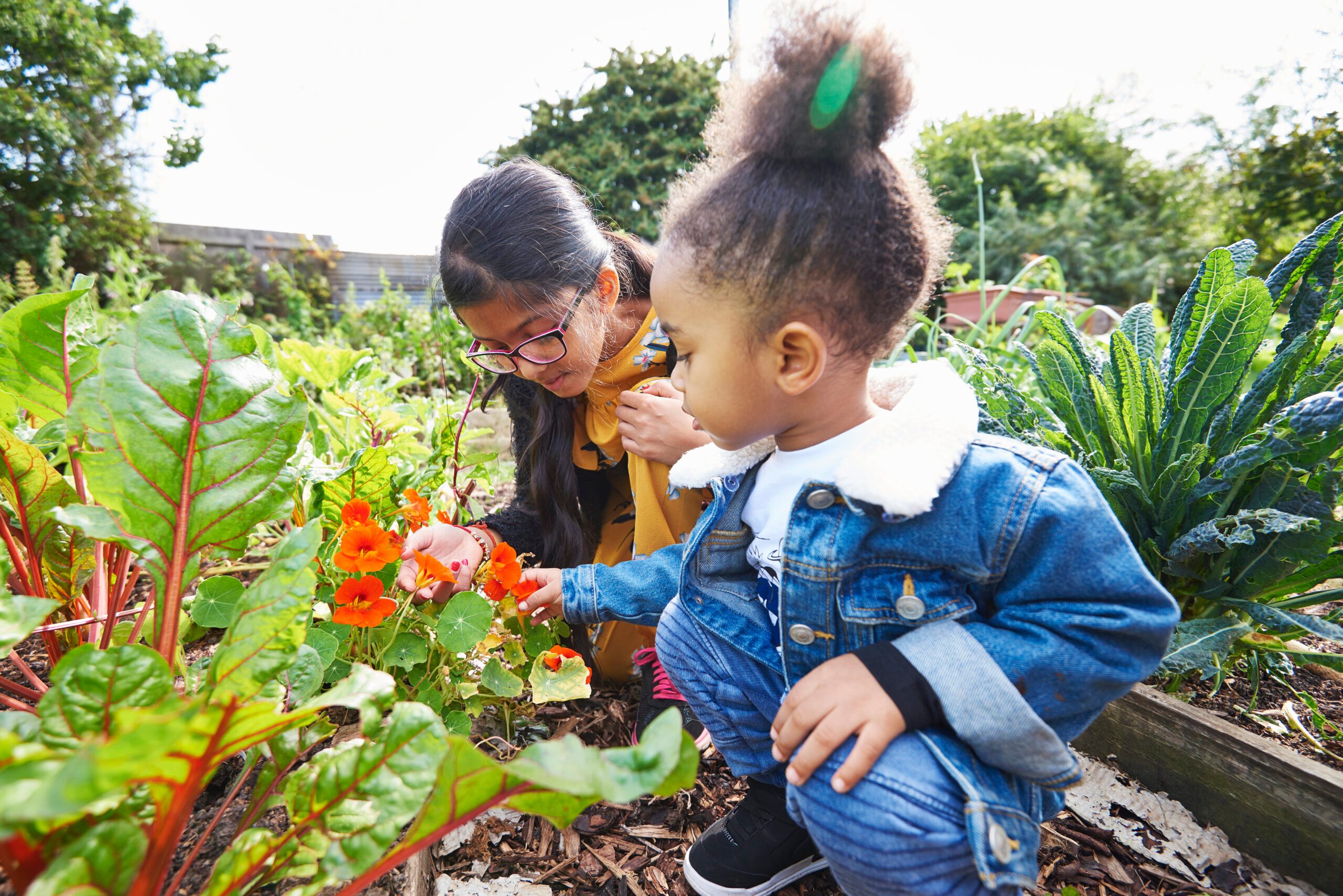 Girl and boy in an allotment