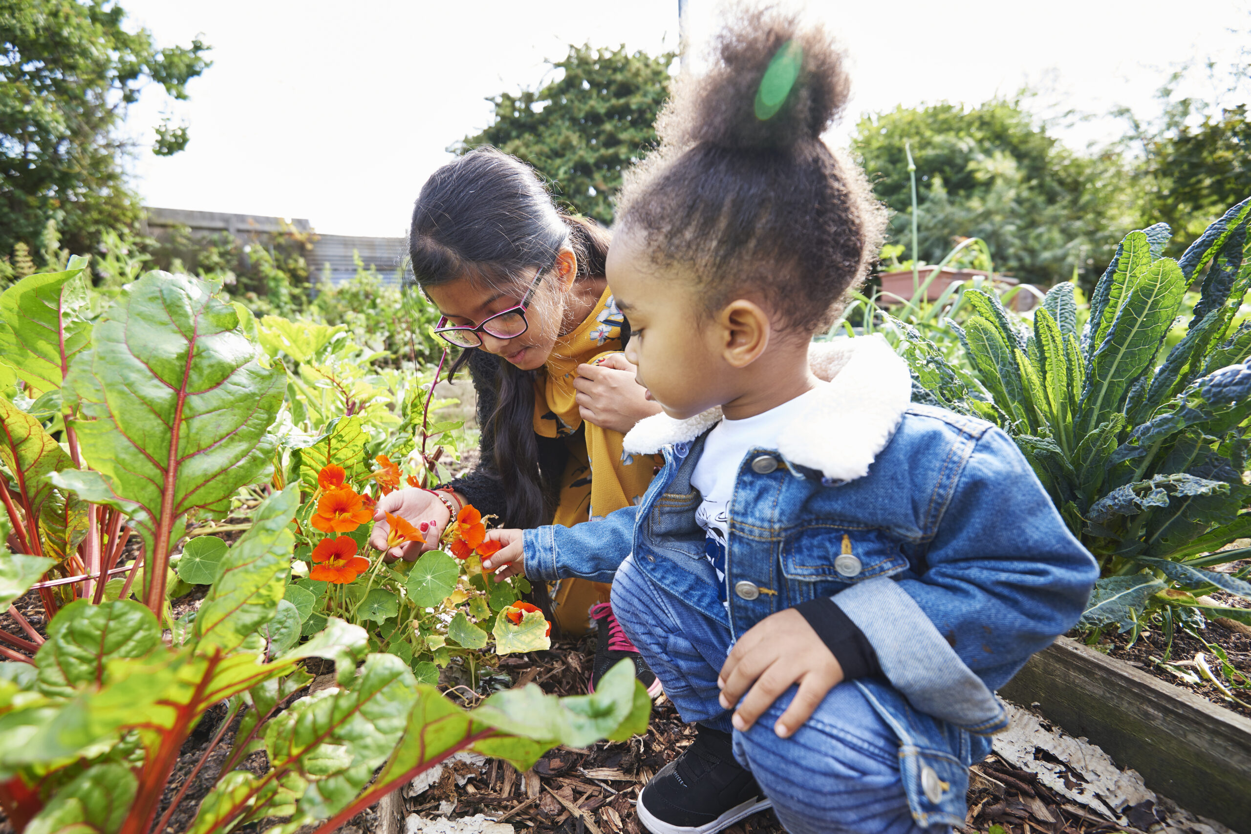 Girl and boy in an allotment