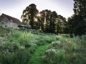 Jo McKerr's Somerset garden Path mown through wildflower meadow in Jo McKerr's Somerset garden