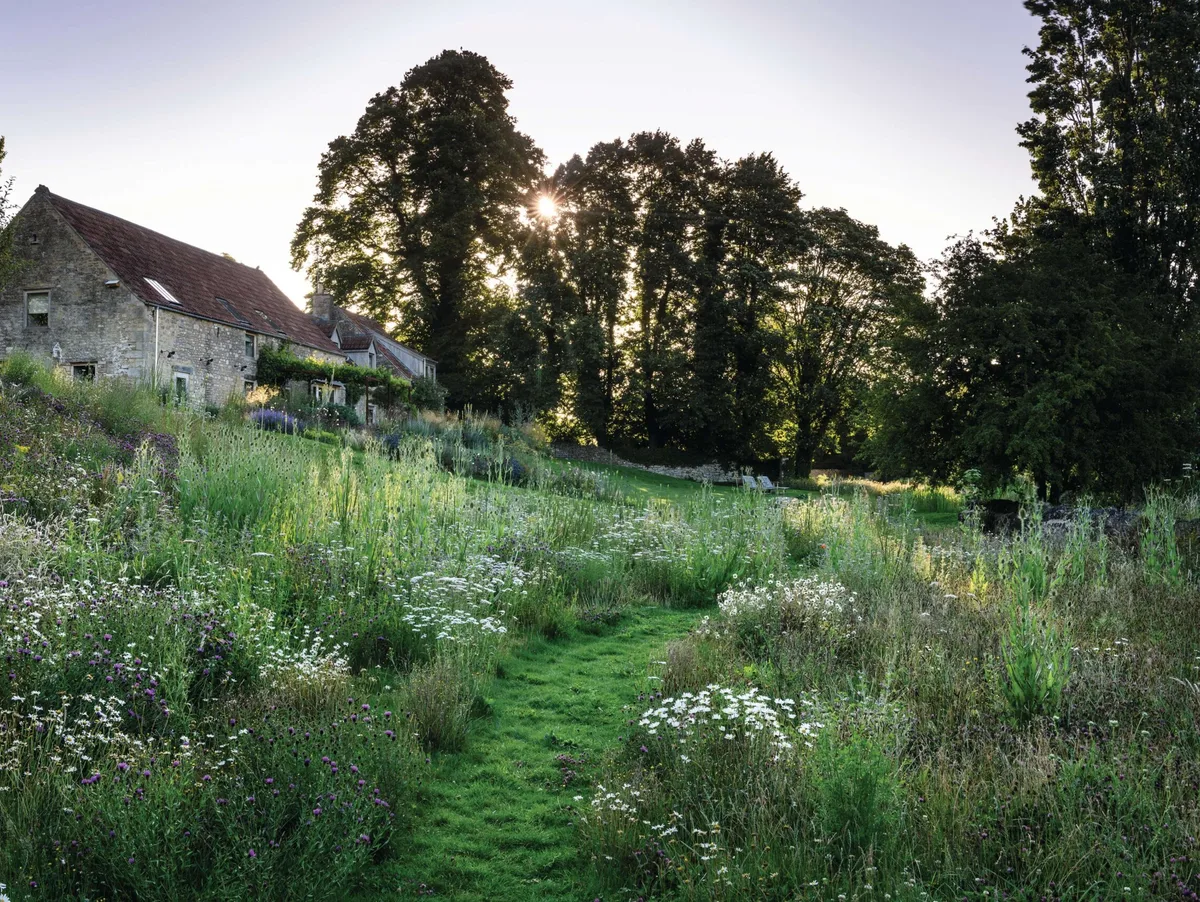 Jo McKerr's Somerset garden Path mown through wildflower meadow in Jo McKerr's Somerset garden