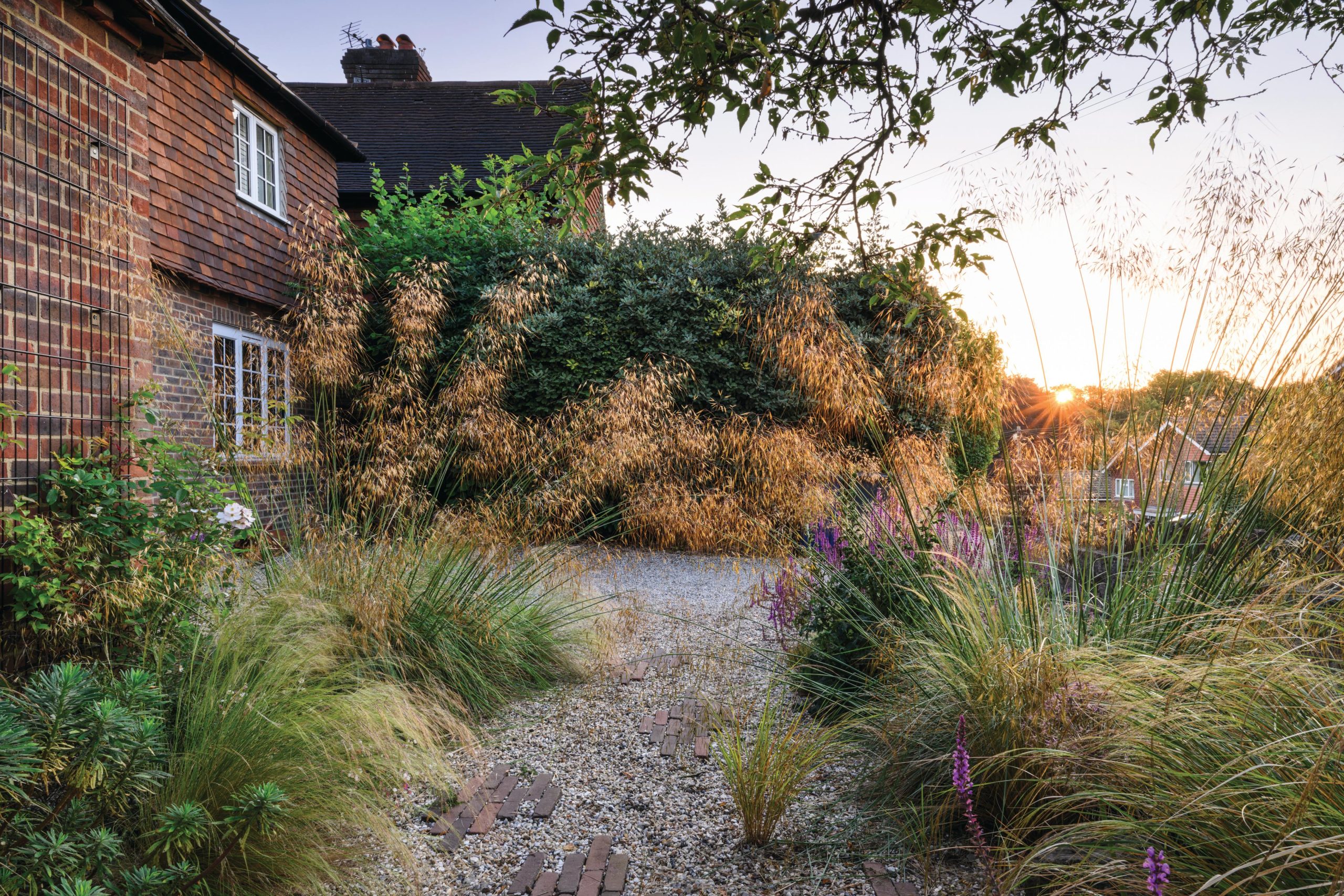 House and garden