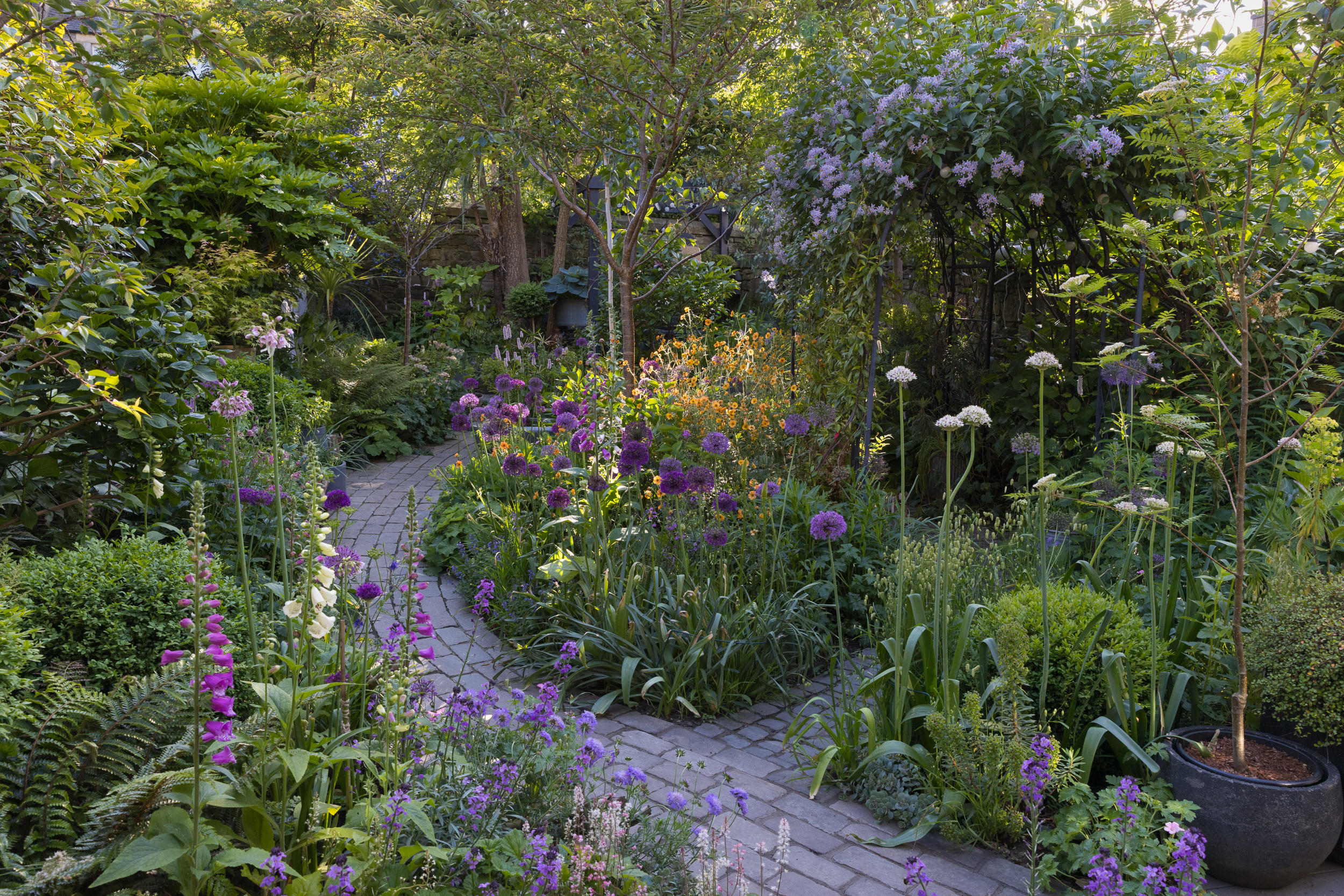 Garden path and borders