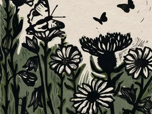 Why you can have a mini meadow in your garden Why you can have a mini meadow in your garden