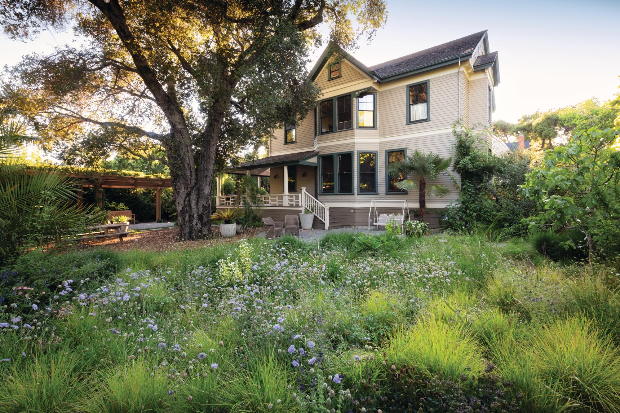 California garden
