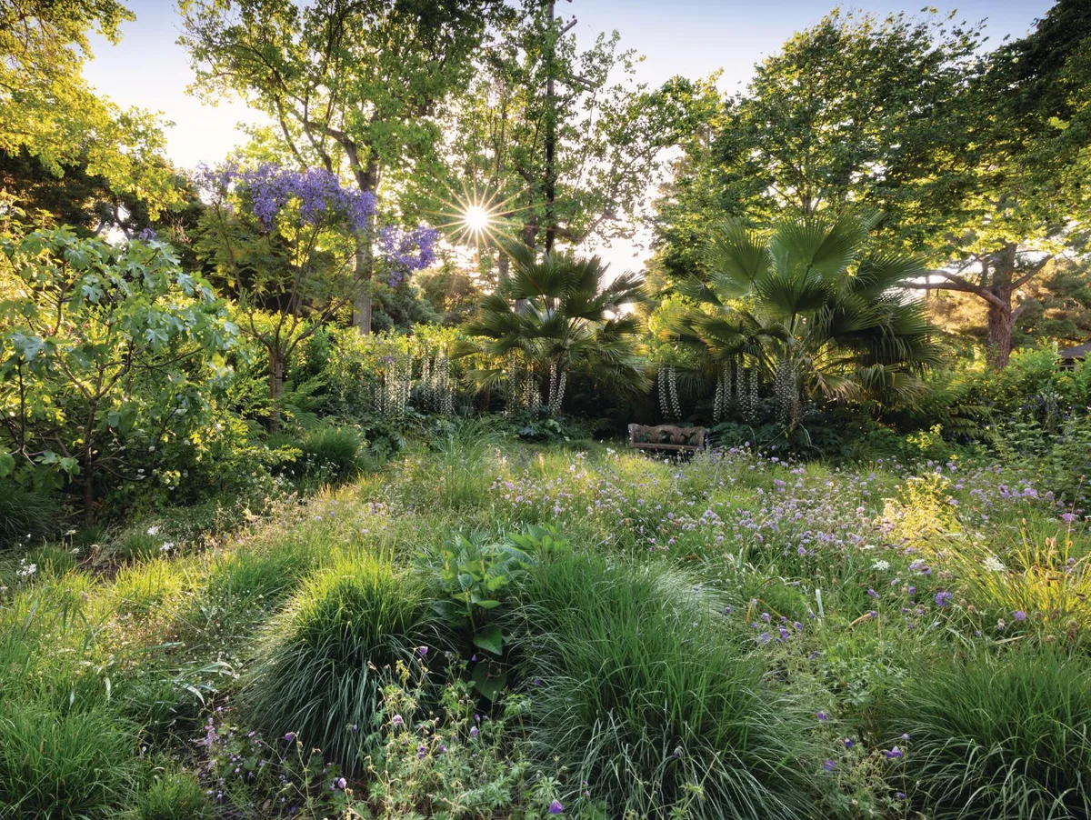 RBD110618-252V2_preview Californian garden