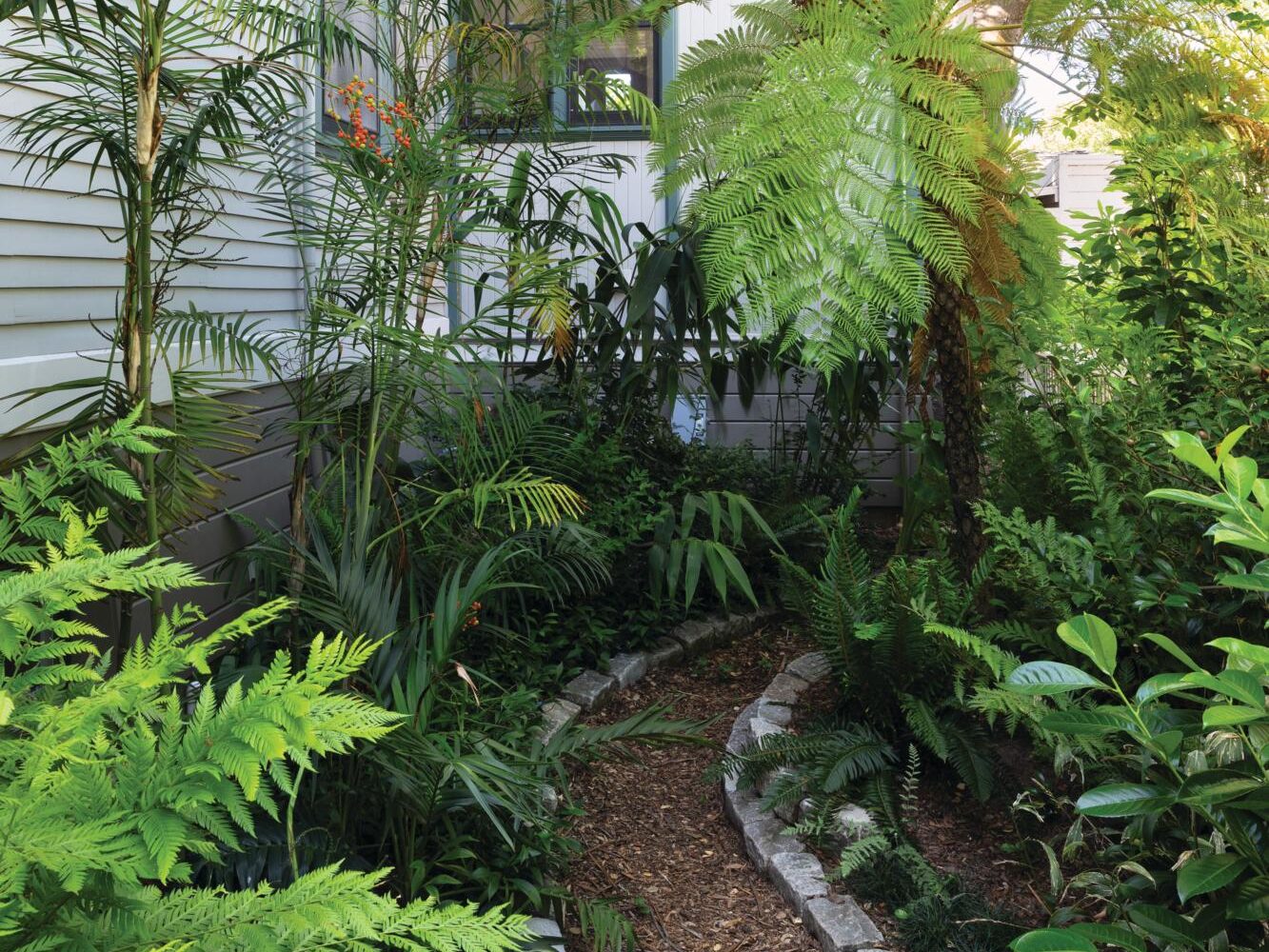 Californian garden