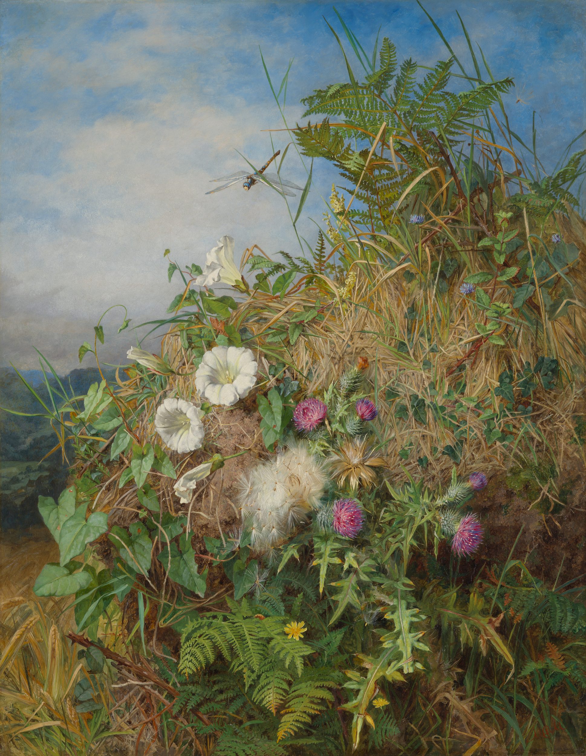 Martha Darley Mutrie, Wild Flowers at the Corner of a Cornfield, 1855-60