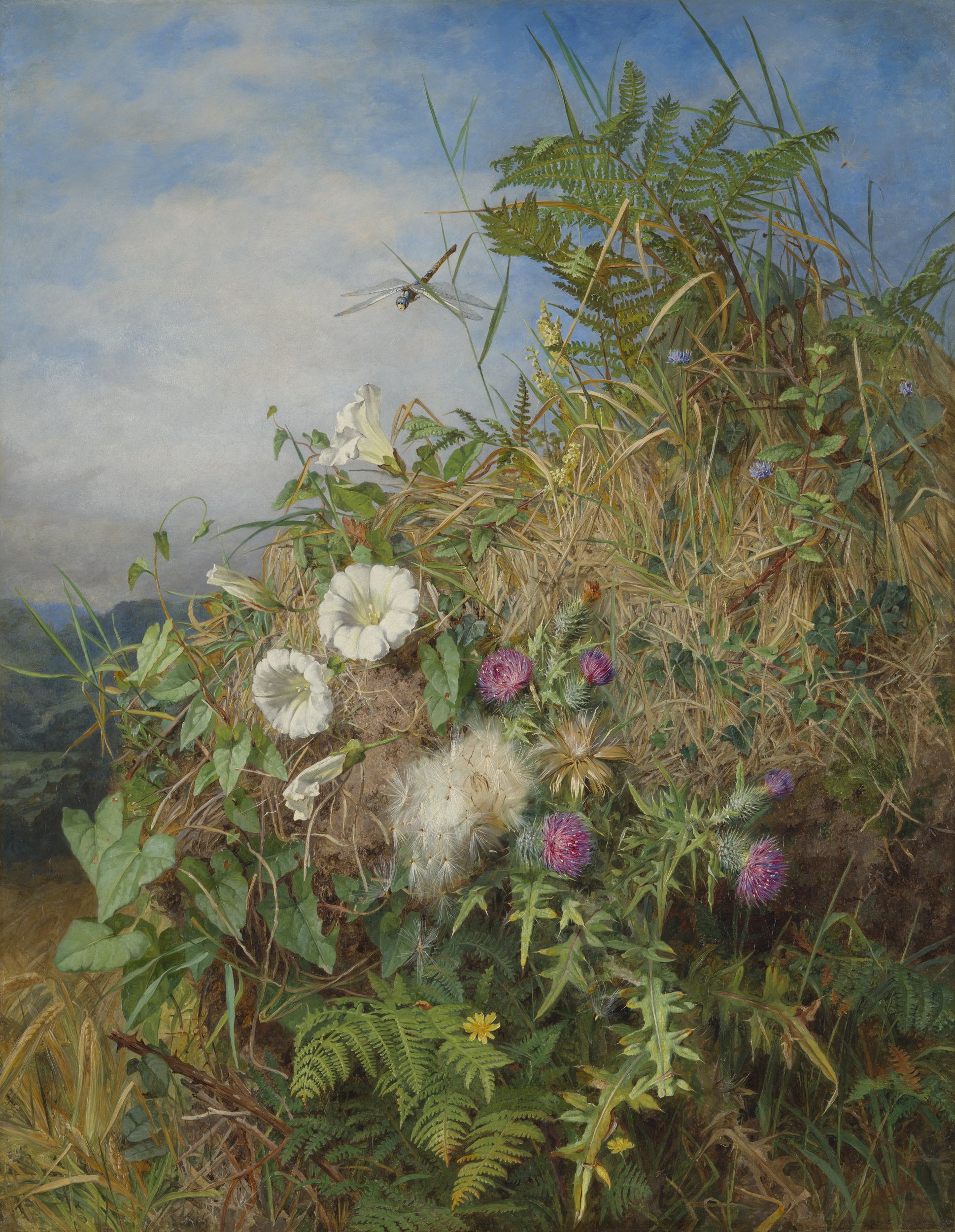 Martha Darley Mutrie, Wild Flowers at the Corner of a Cornfield, 1855-60