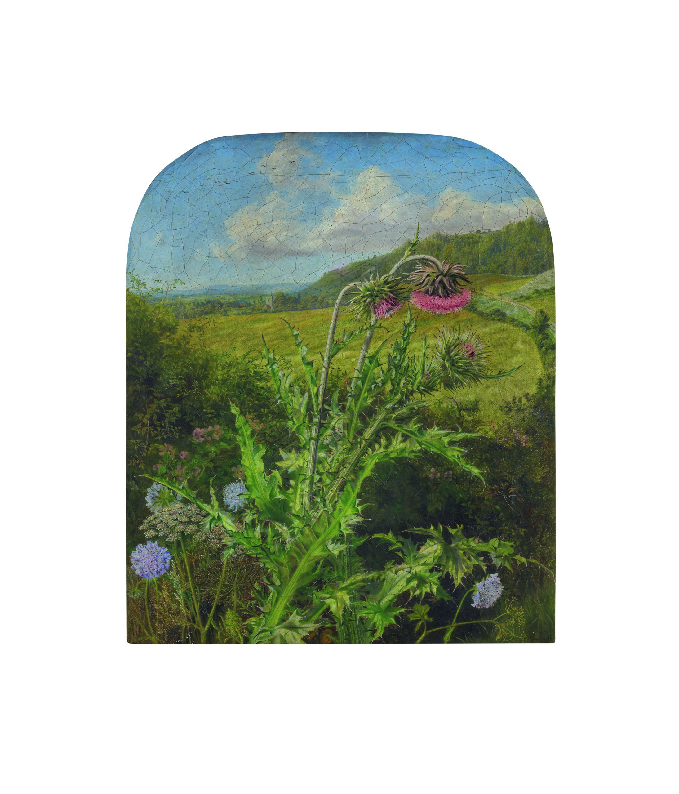 Rosa Brett Thistles (1860)