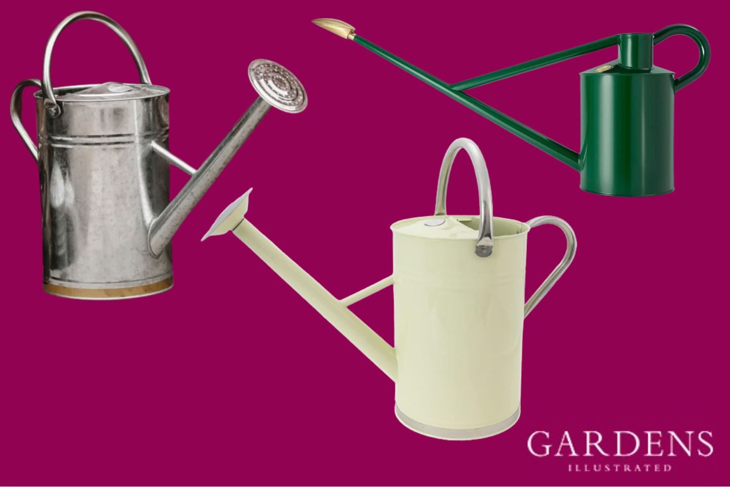 Metal watering cans on a pink background