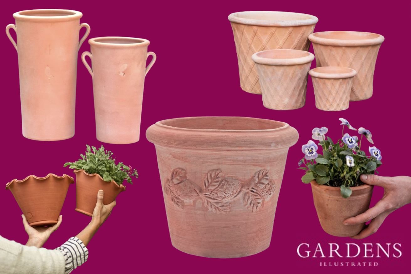 Terracotta pots on a pink background