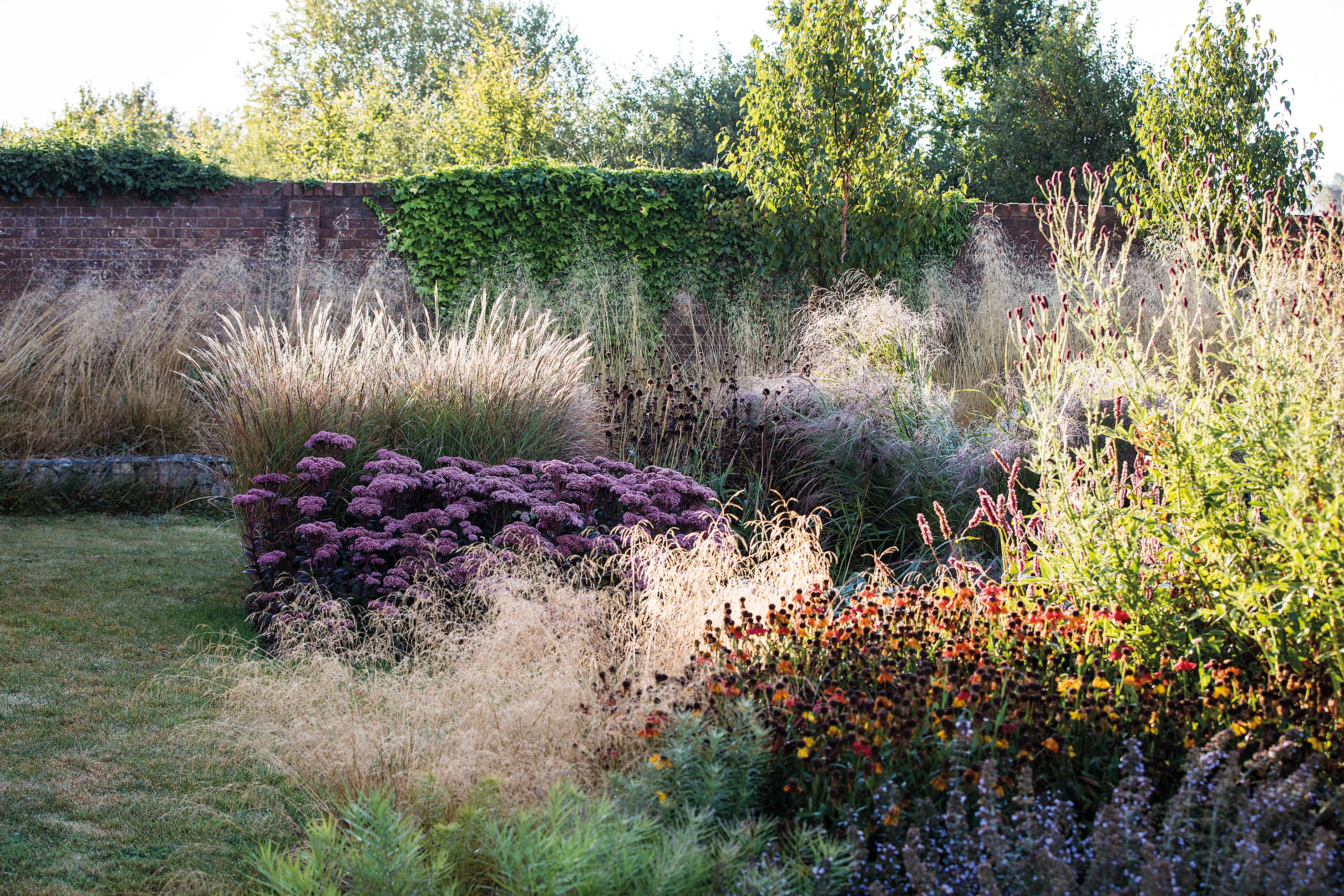 Emma Burrill's garden in East Sussex