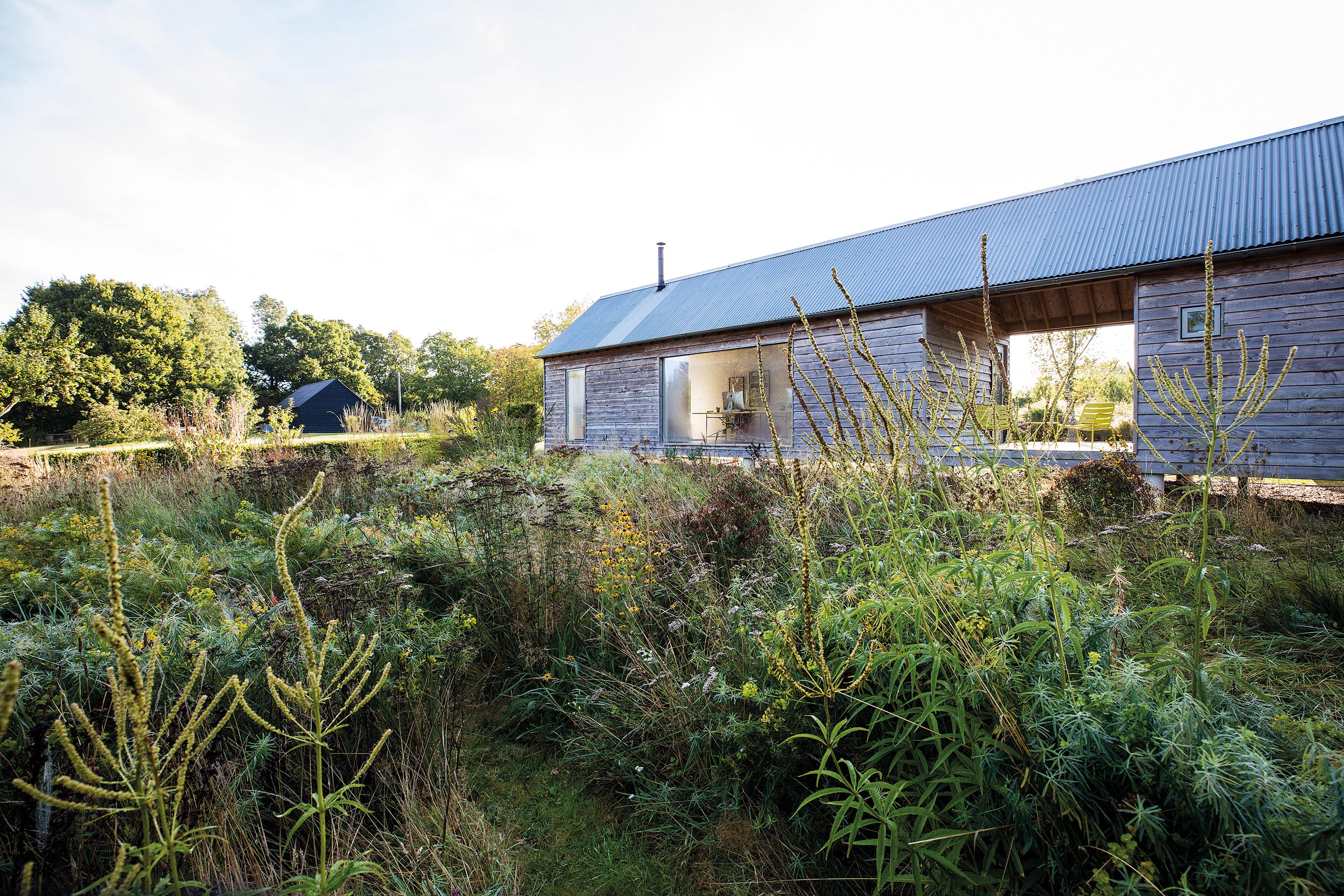 Emma Burrill's garden in East Sussex