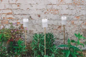 Best garden candles