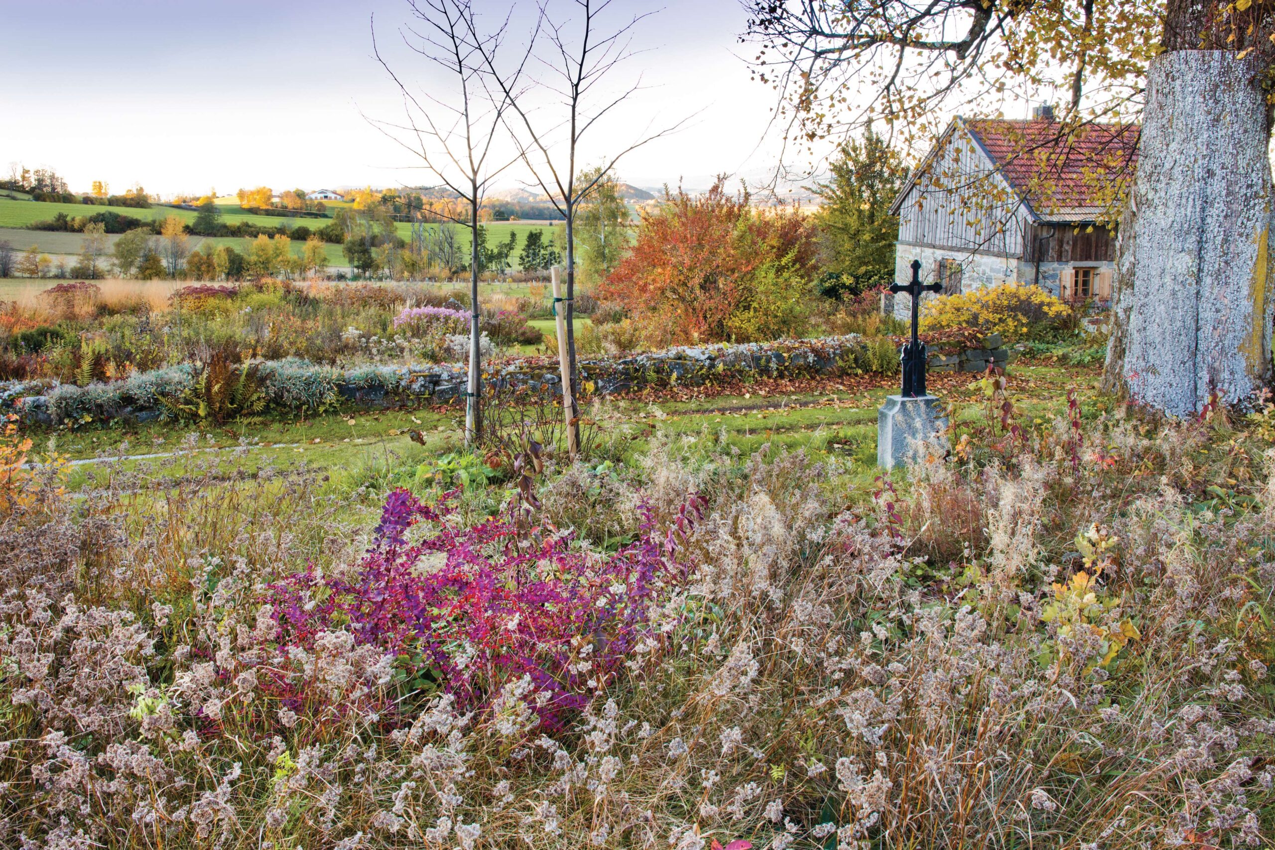 Karin Winkler's garden in Germany