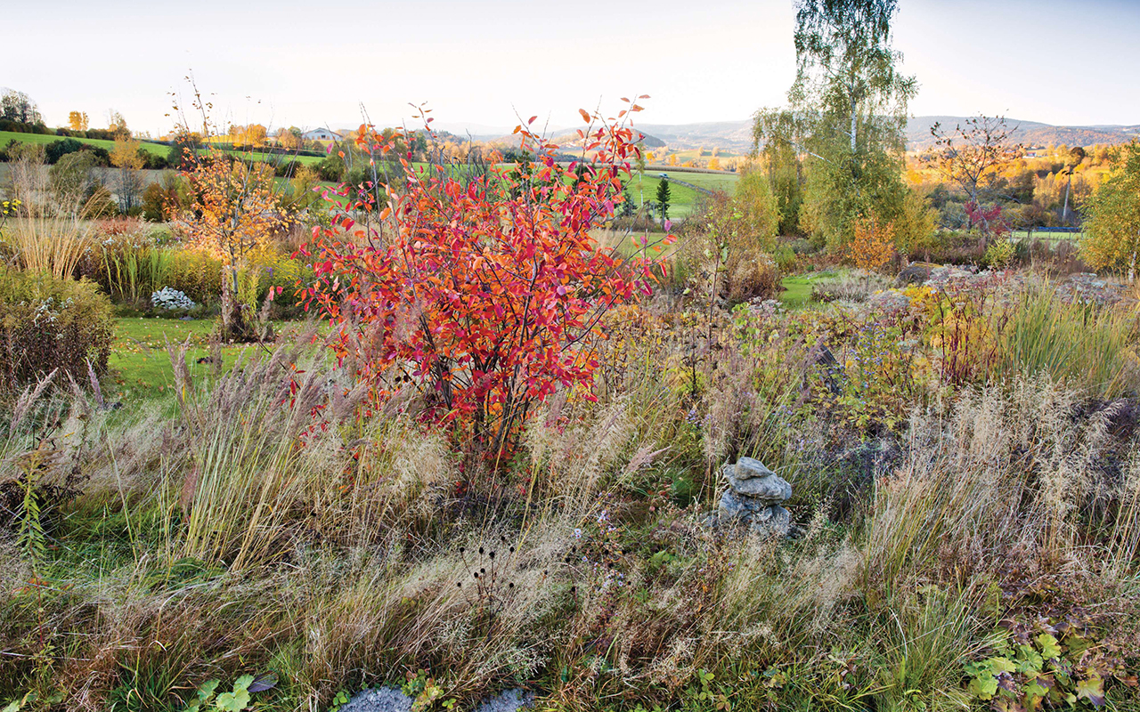 Karin Winkler's garden in Germany