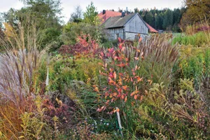 German naturalistic garden Garden borders with house