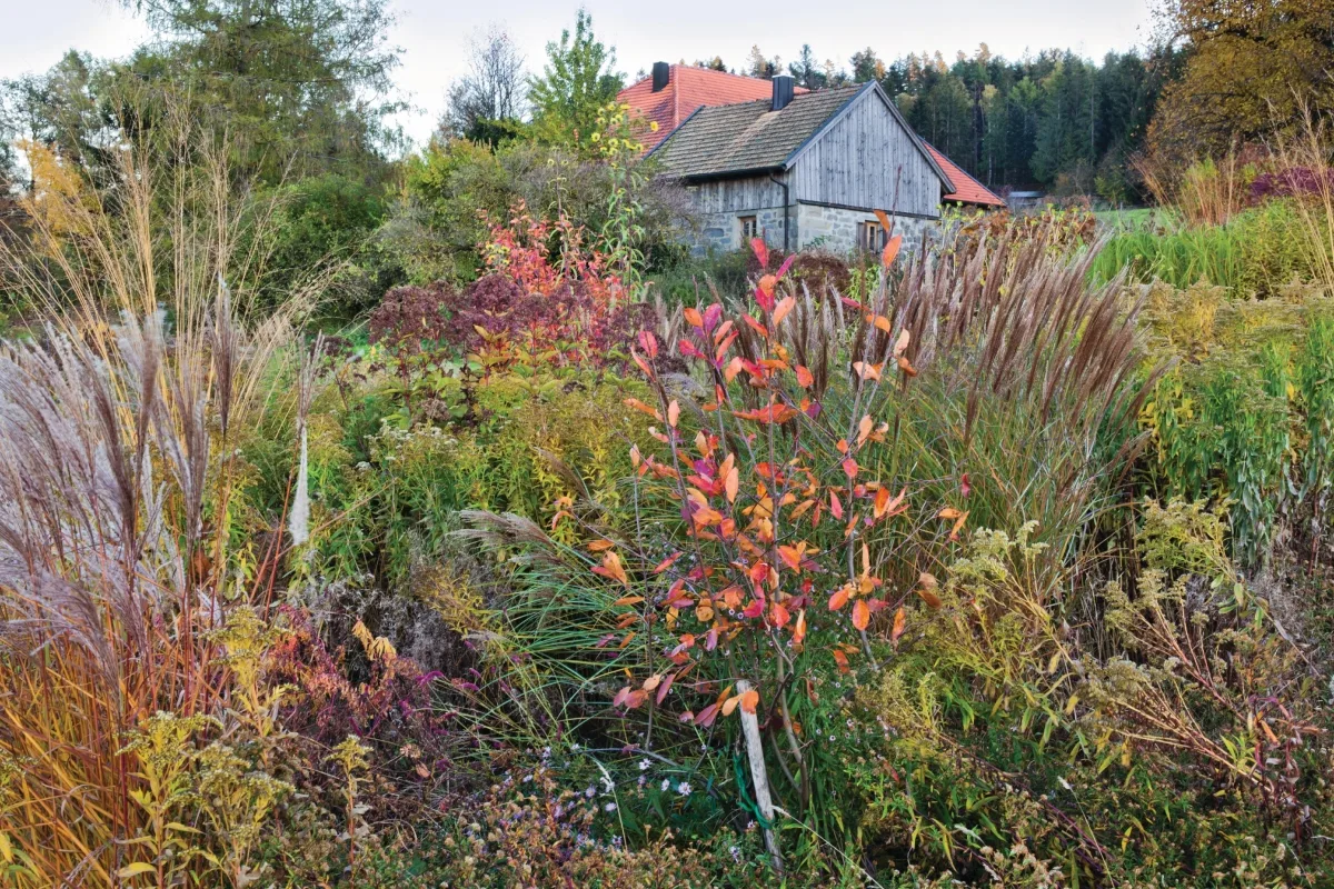 German naturalistic garden Garden borders with house
