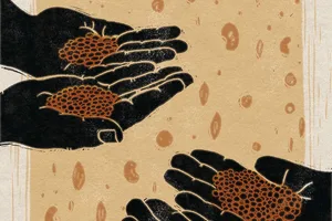 An illustration of people sharing seeds bred using a grex, © Rosanna Morris An illustration of people sharing seeds bred using a grex, © Rosanna Morris