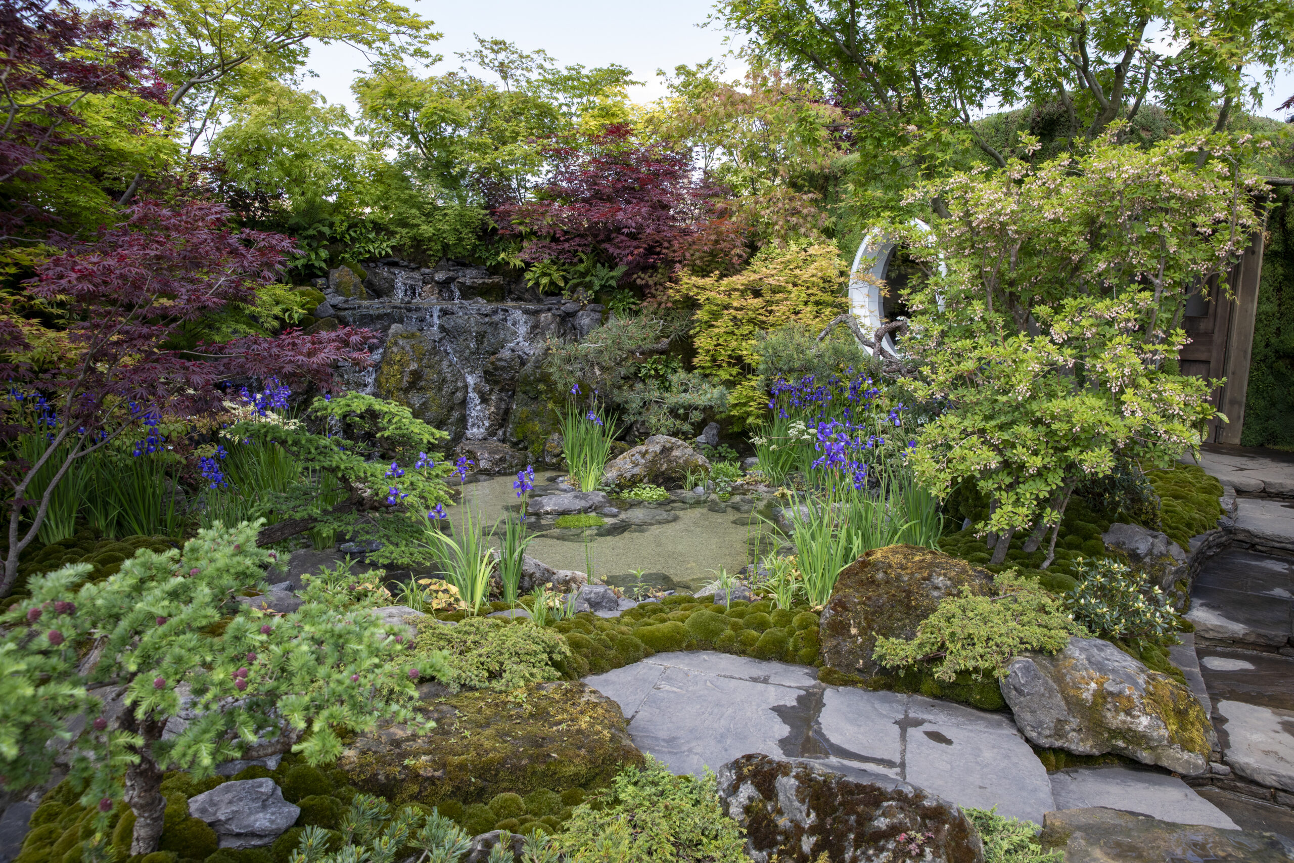 MOROTO no IE at the RHS Chelsea Flower Show 2024. Designed by Kazuyuki Ishihara. Sponsored by Mihara-Teien, HB-101 and G-lion.