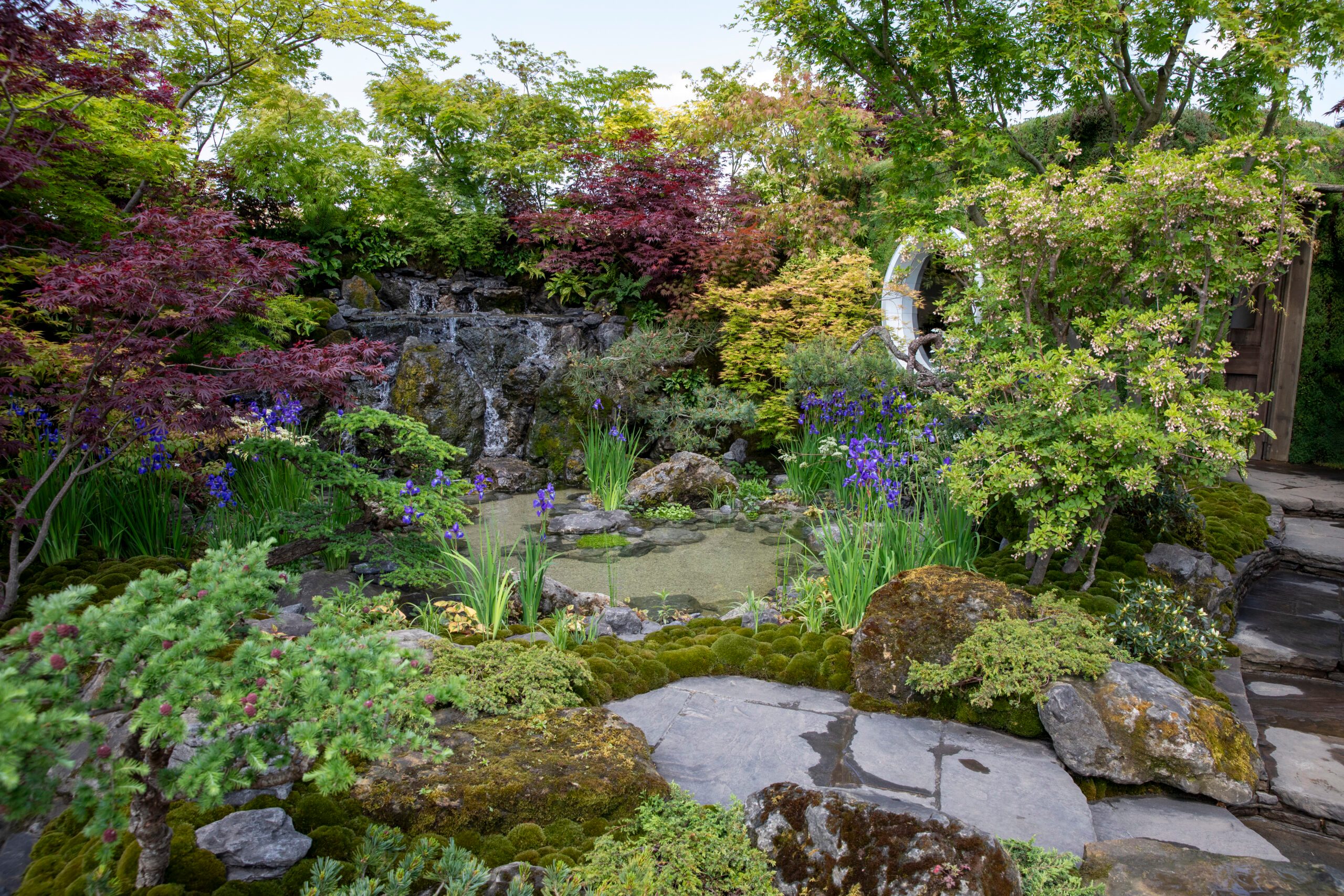 MOROTO no IE at the RHS Chelsea Flower Show 2024. Designed by Kazuyuki Ishihara. Sponsored by Mihara-Teien, HB-101 and G-lion.