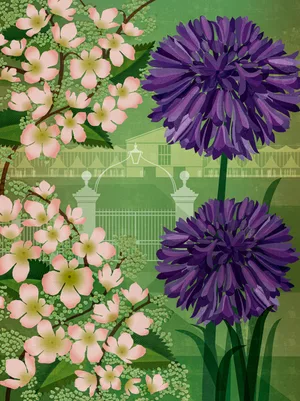 Nigel Slater Chelsea Flower Show May column Flower illustration