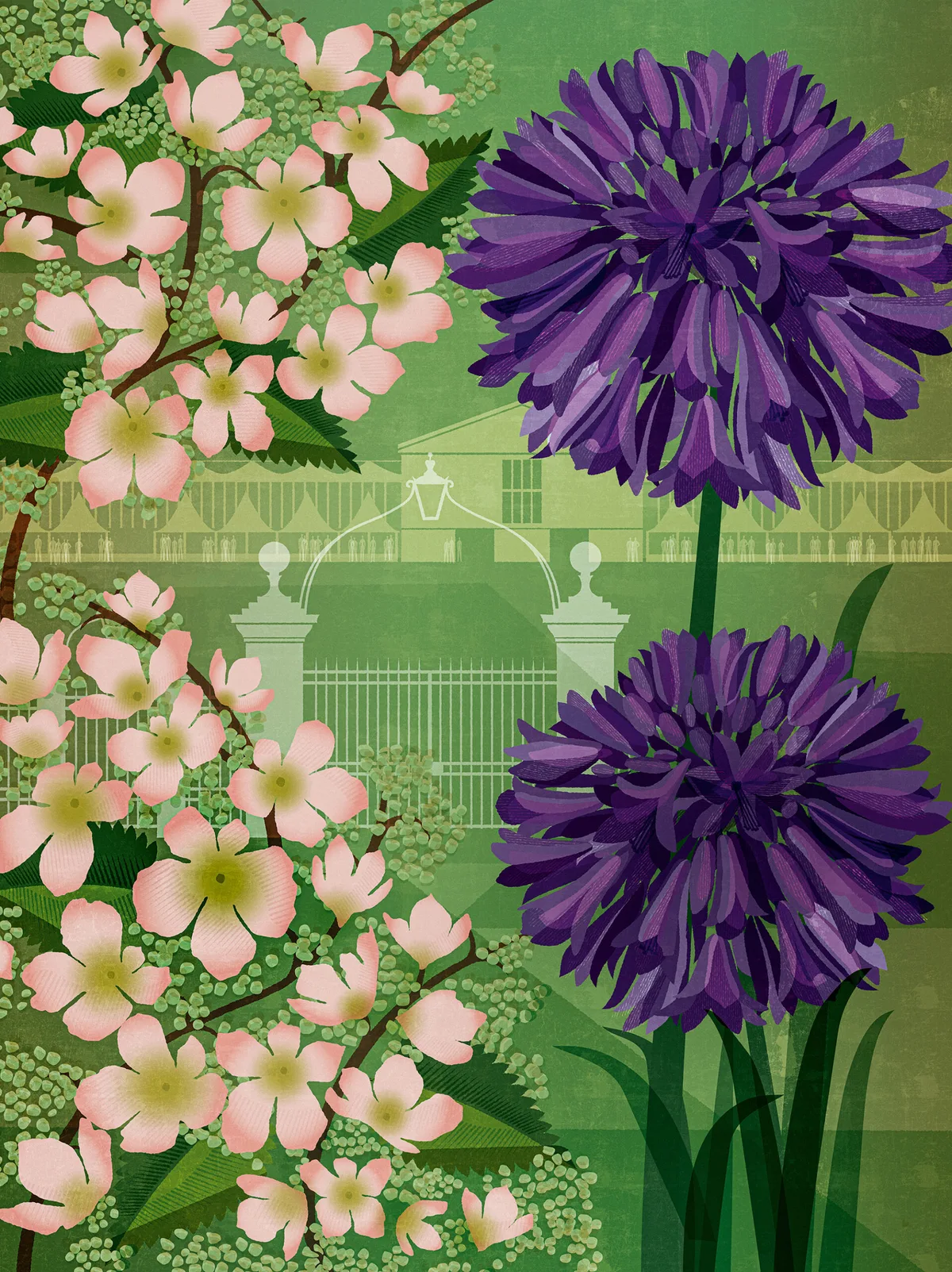 Nigel Slater Chelsea Flower Show May column Flower illustration