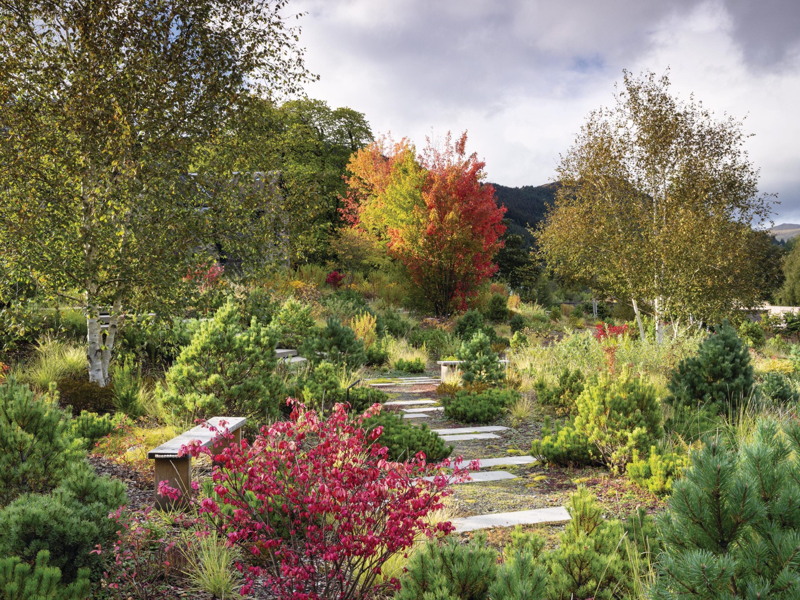 Garden in bloom