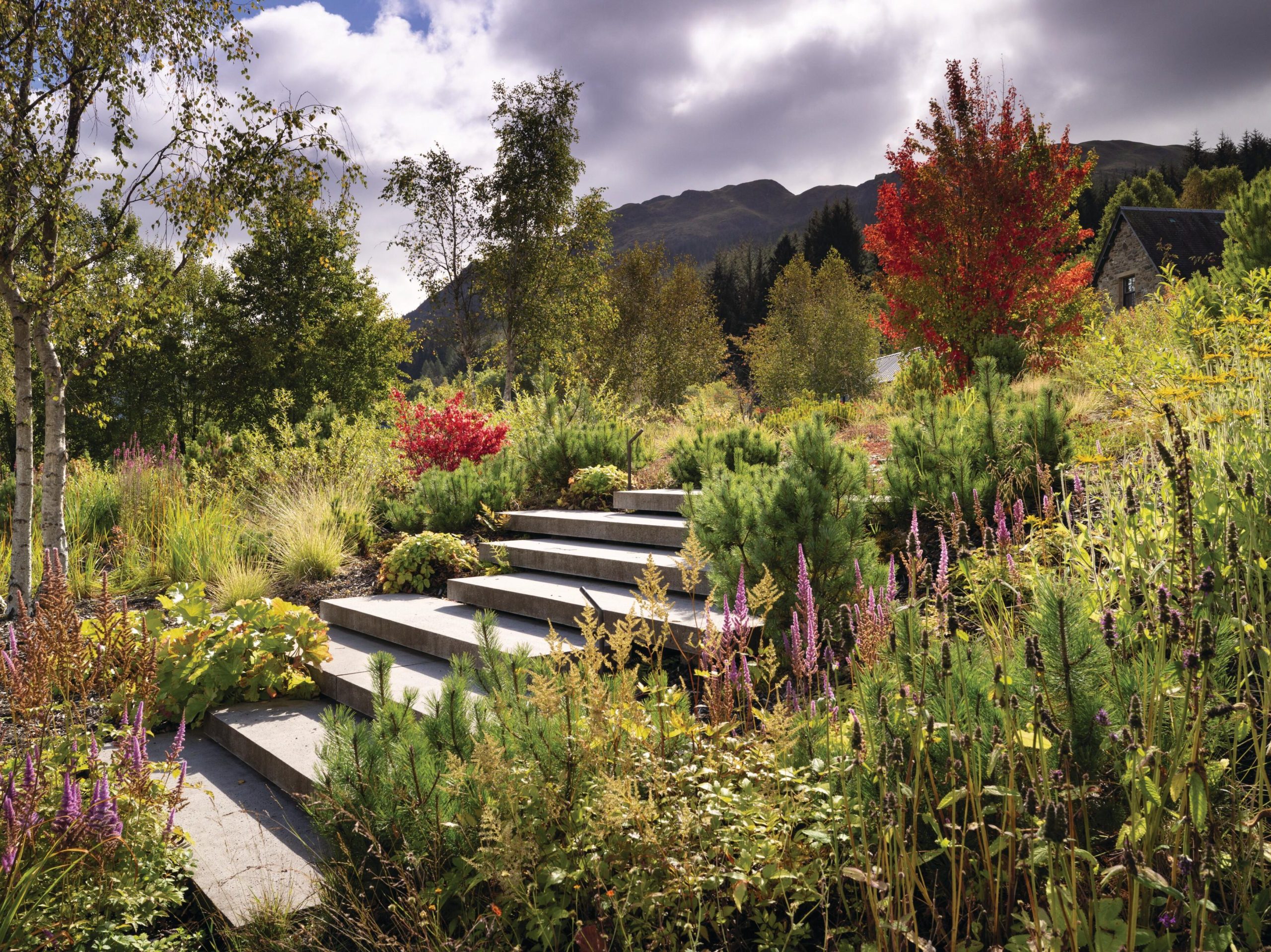 Garden with steps
