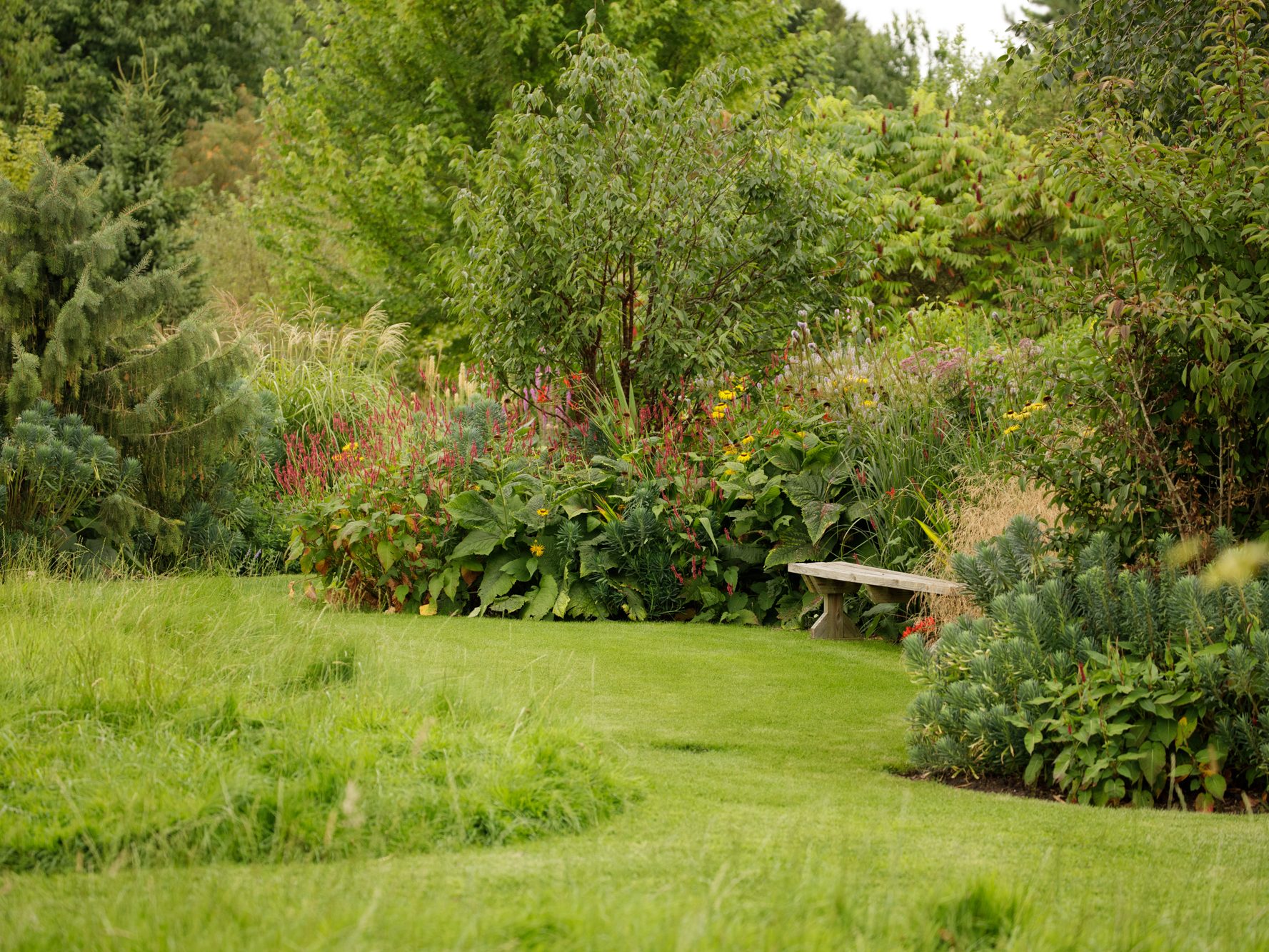 lawn and borders