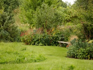 GI Ellicar lawn and borders