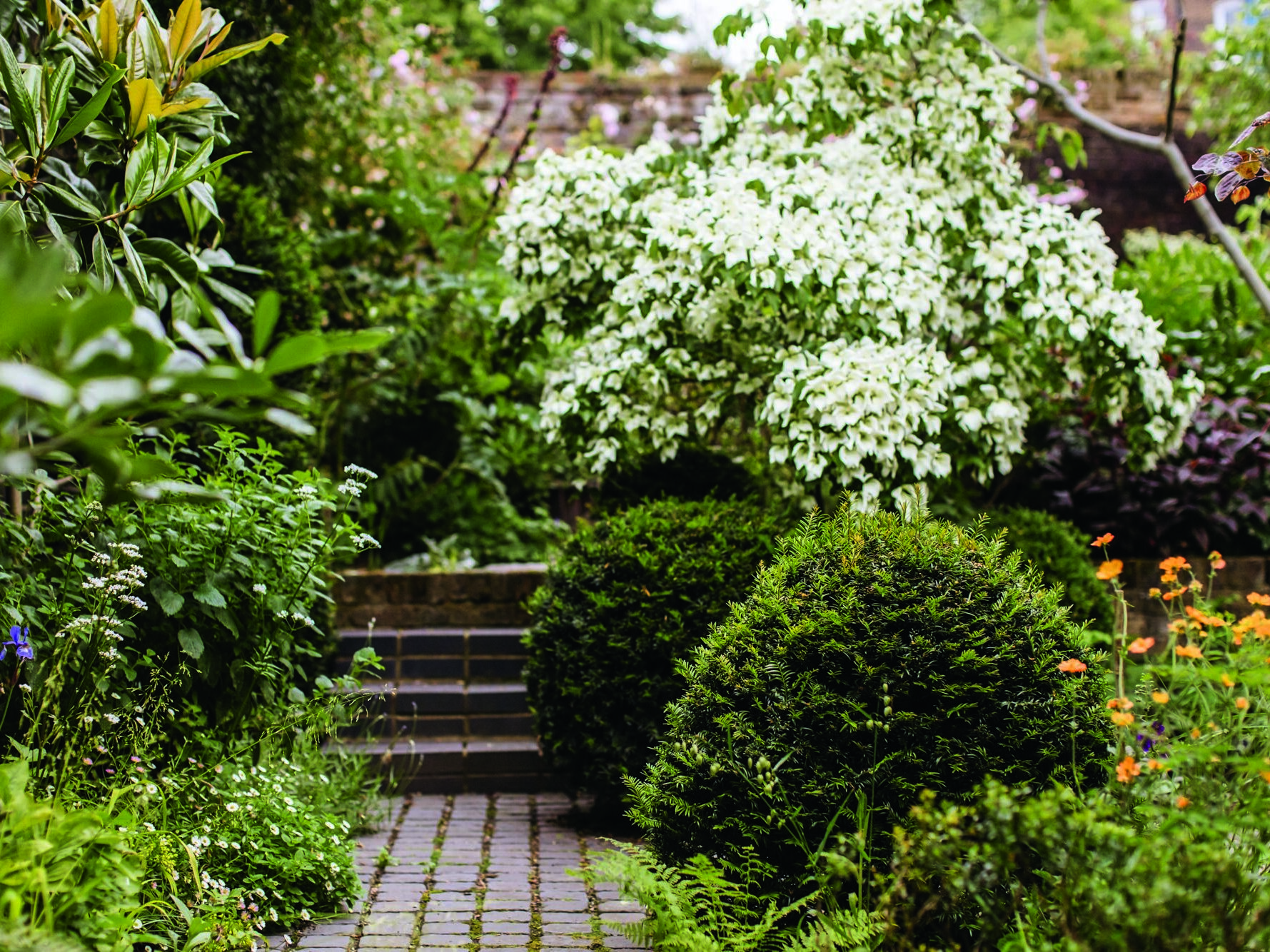 Garden path and steps