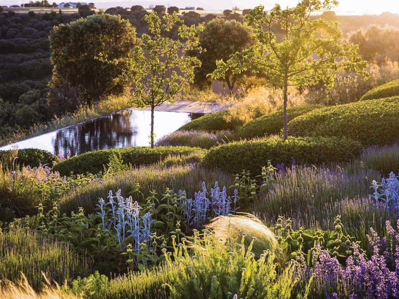 Spanish garden in bloom in summer