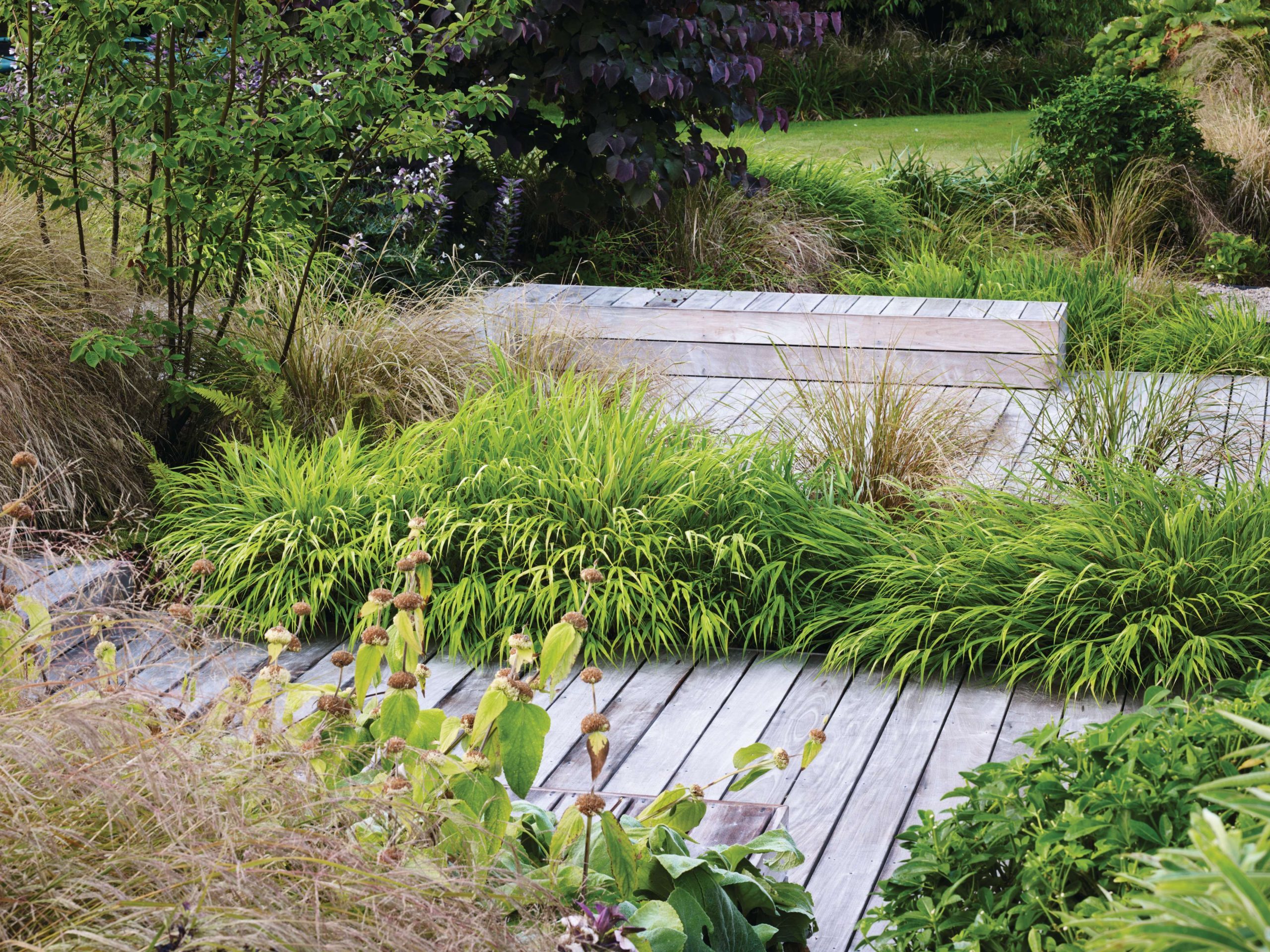 Grasses on a decking