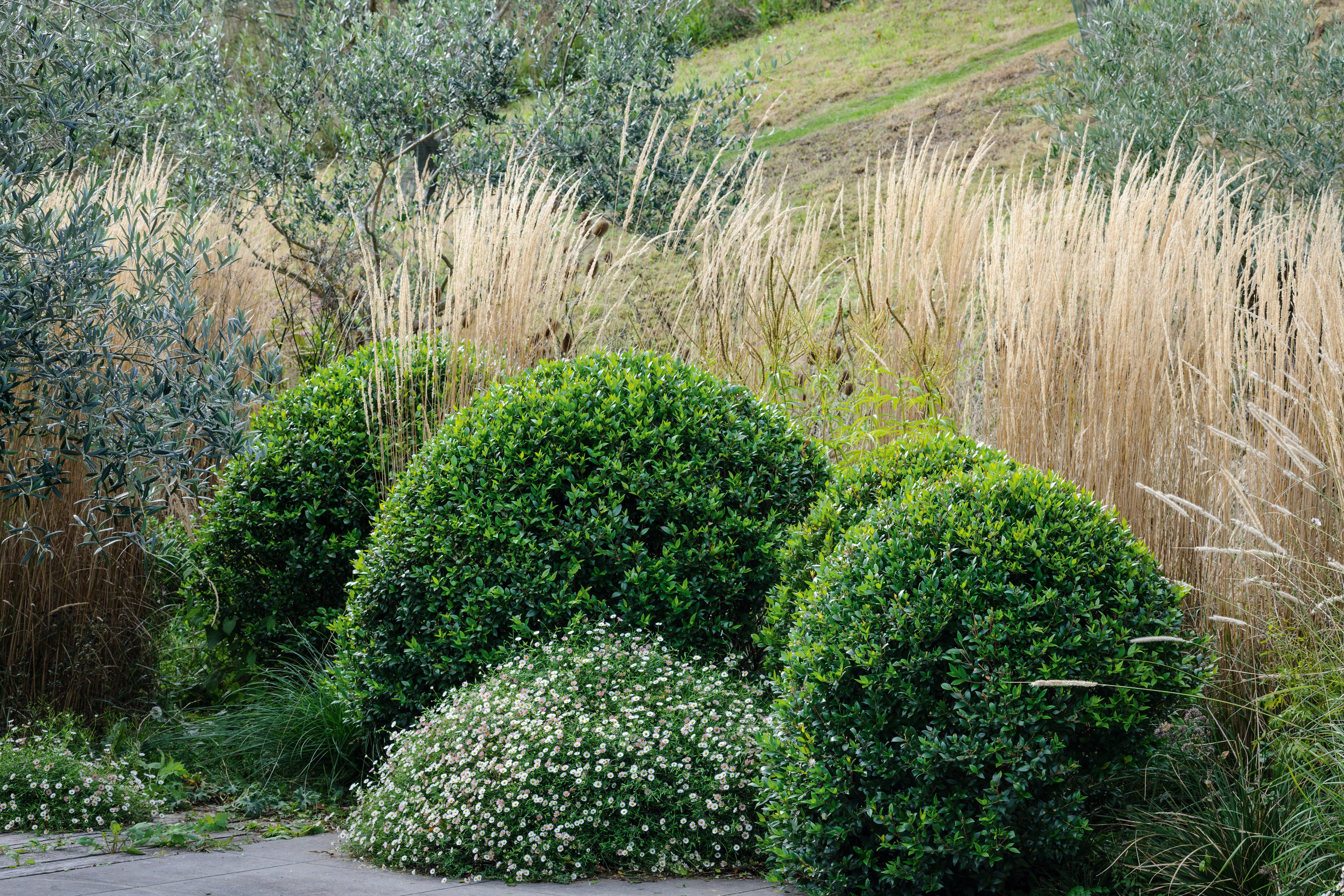 Worden House Garden