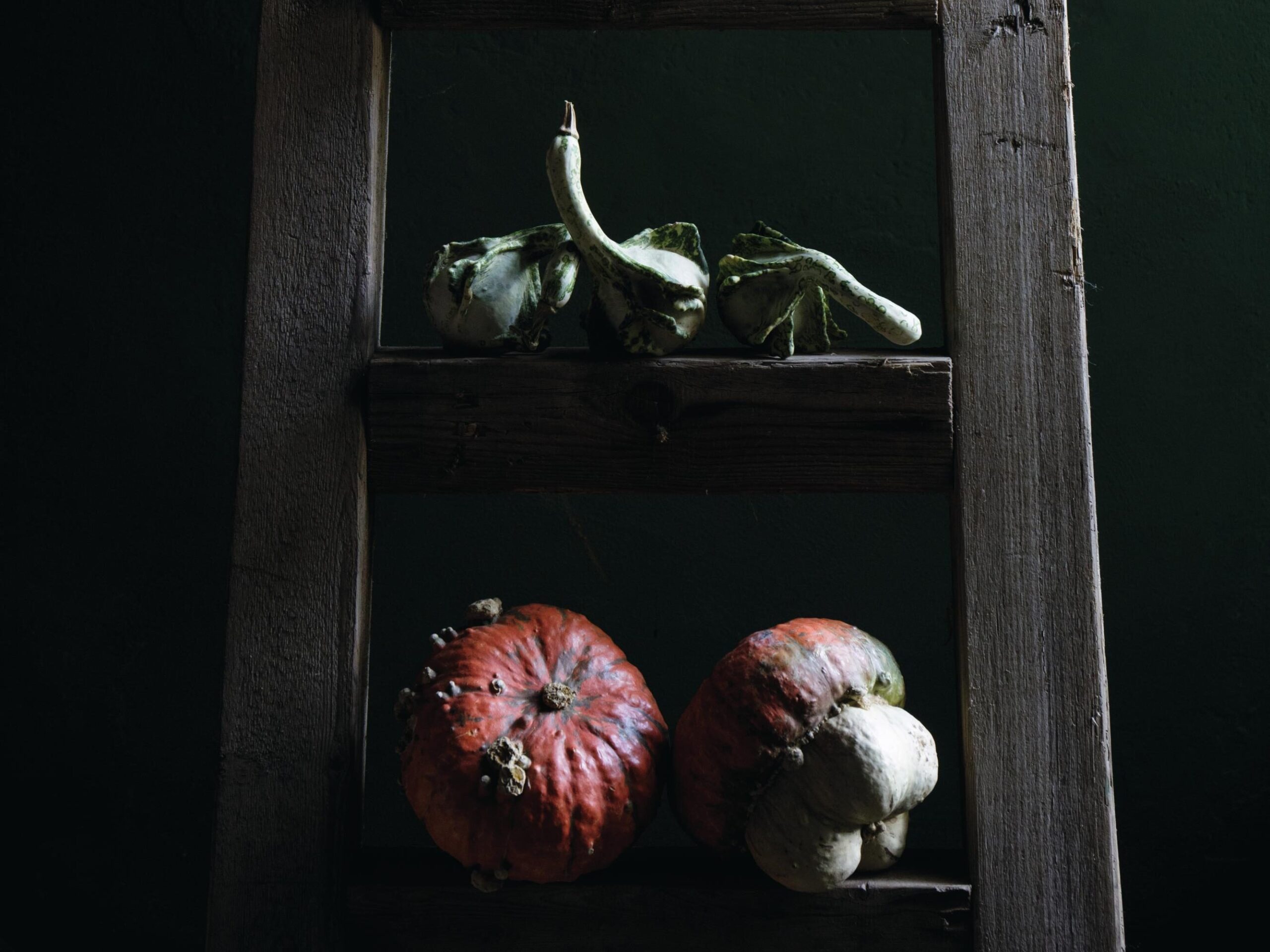 Gourds and pumpkins