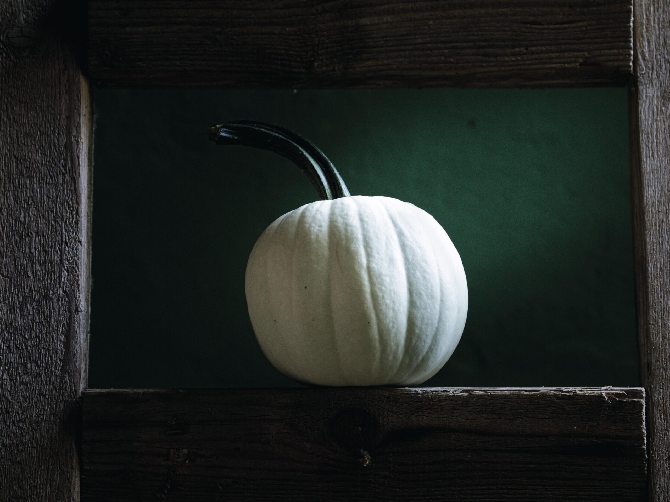 'Moon Beam' F1 Gourd