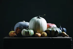 In his Italian garden, Clark Lawrence grows an amazing selection of pumpkins and squash In his Italian garden, Clark Lawrence grows an amazing selection of pumpkins and squash