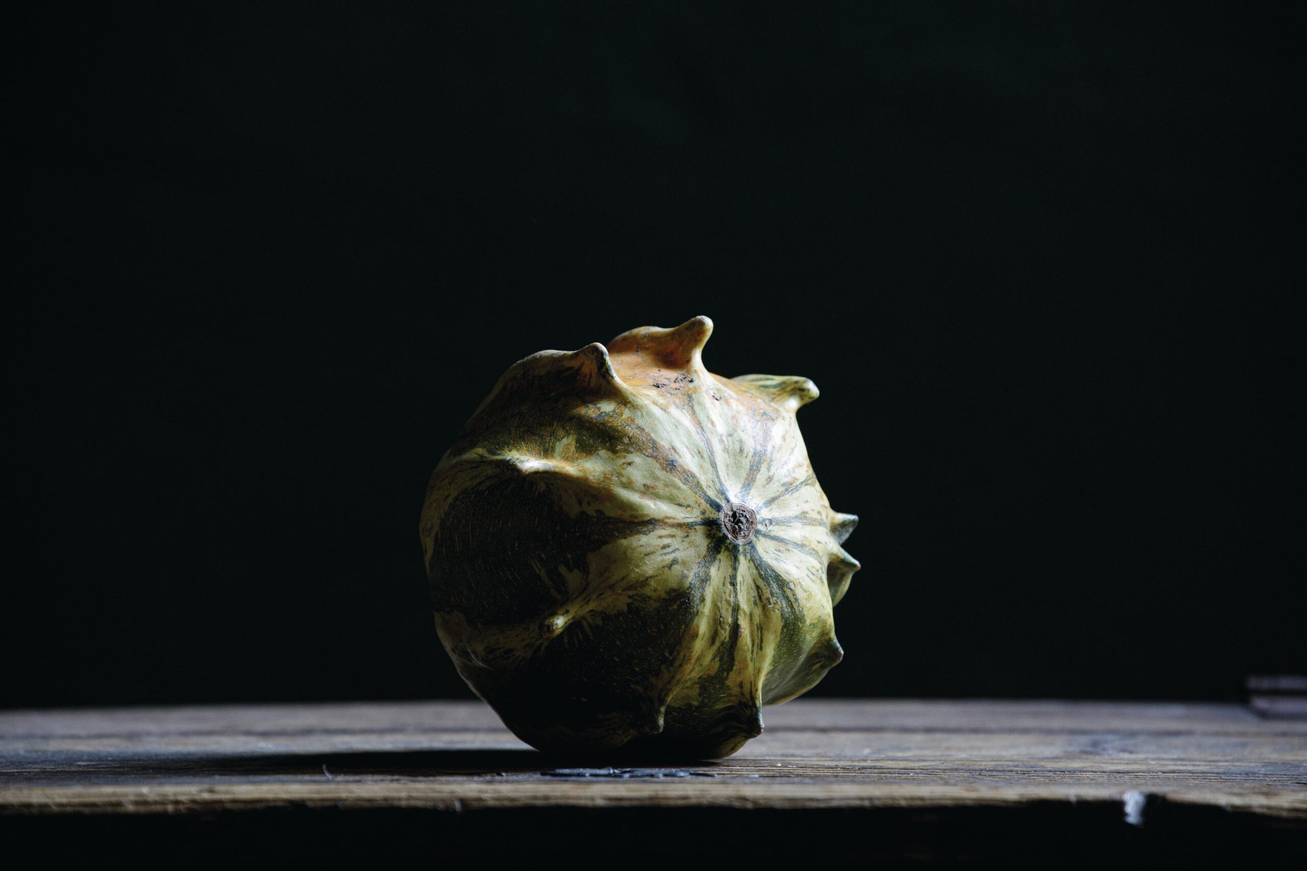 ‘Crown of Thorns’ gourd