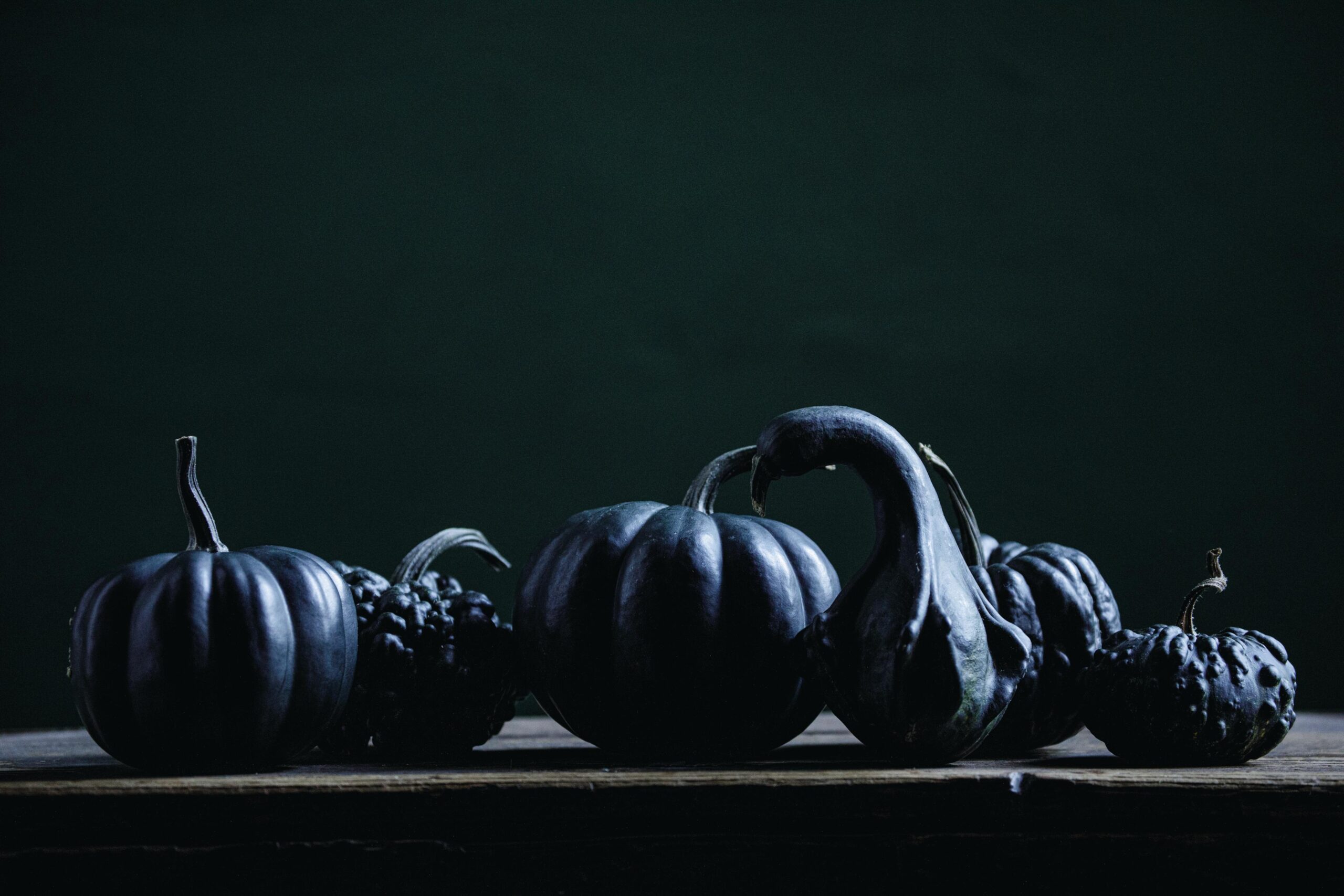 A tableau of black gourds including ‘Black Kat’, ‘Warts Galore’ and ‘American Wings’