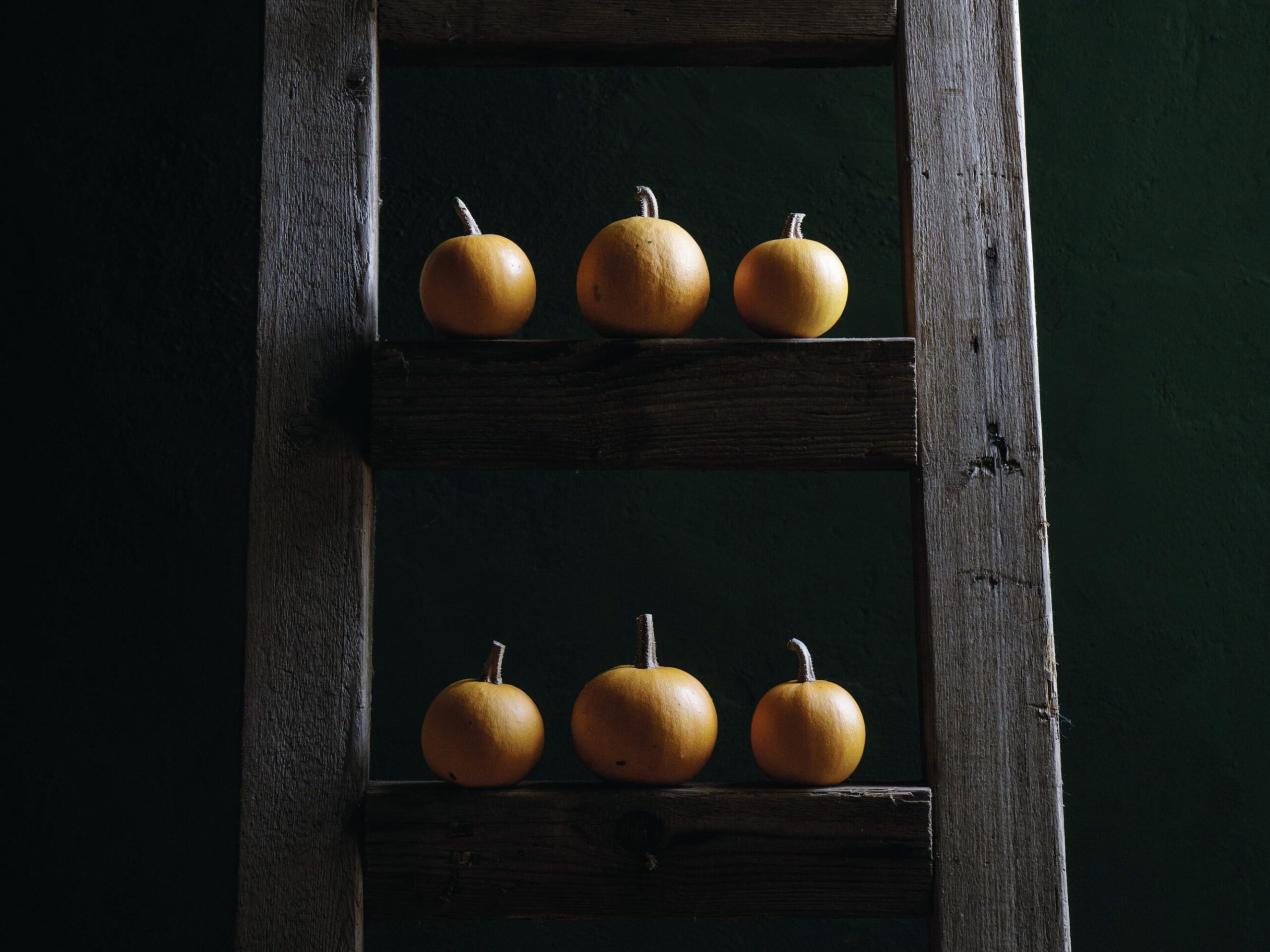 ‘Pomme d’Or’ pumpkins