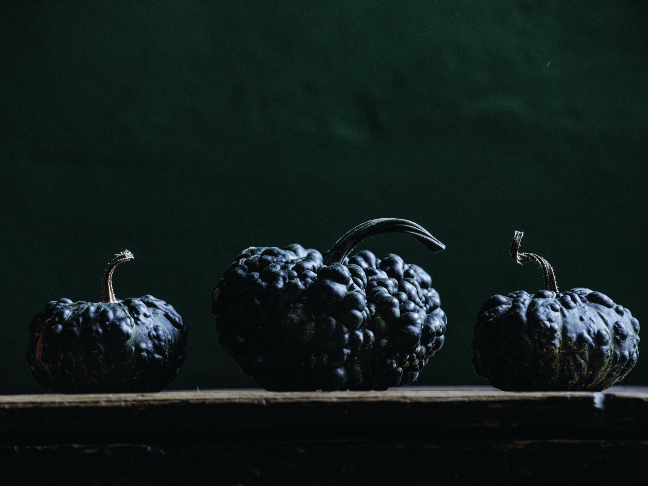 Black pumpkins: Warts Galore pumpkin or gourd