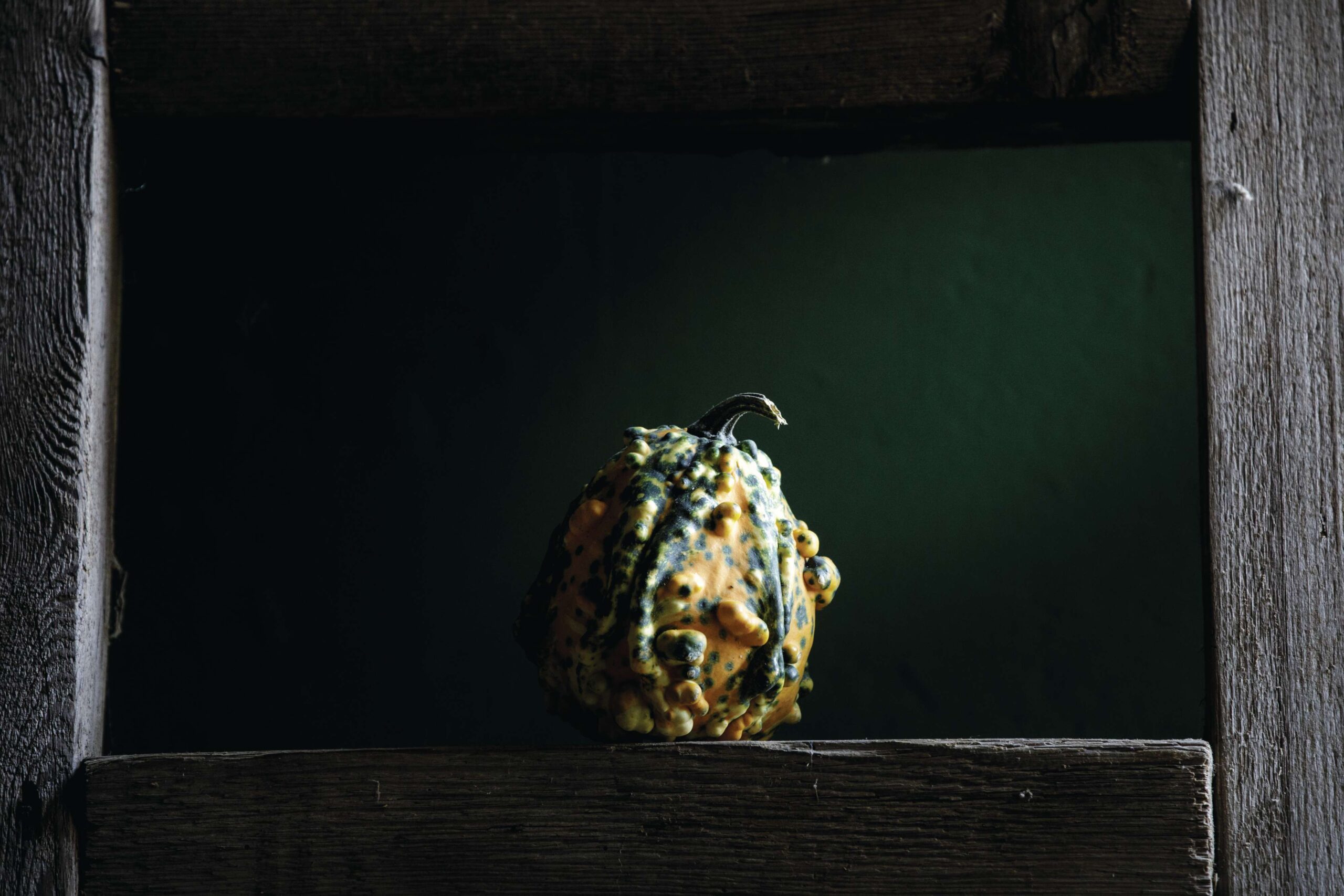 'Lunch lady' gourd