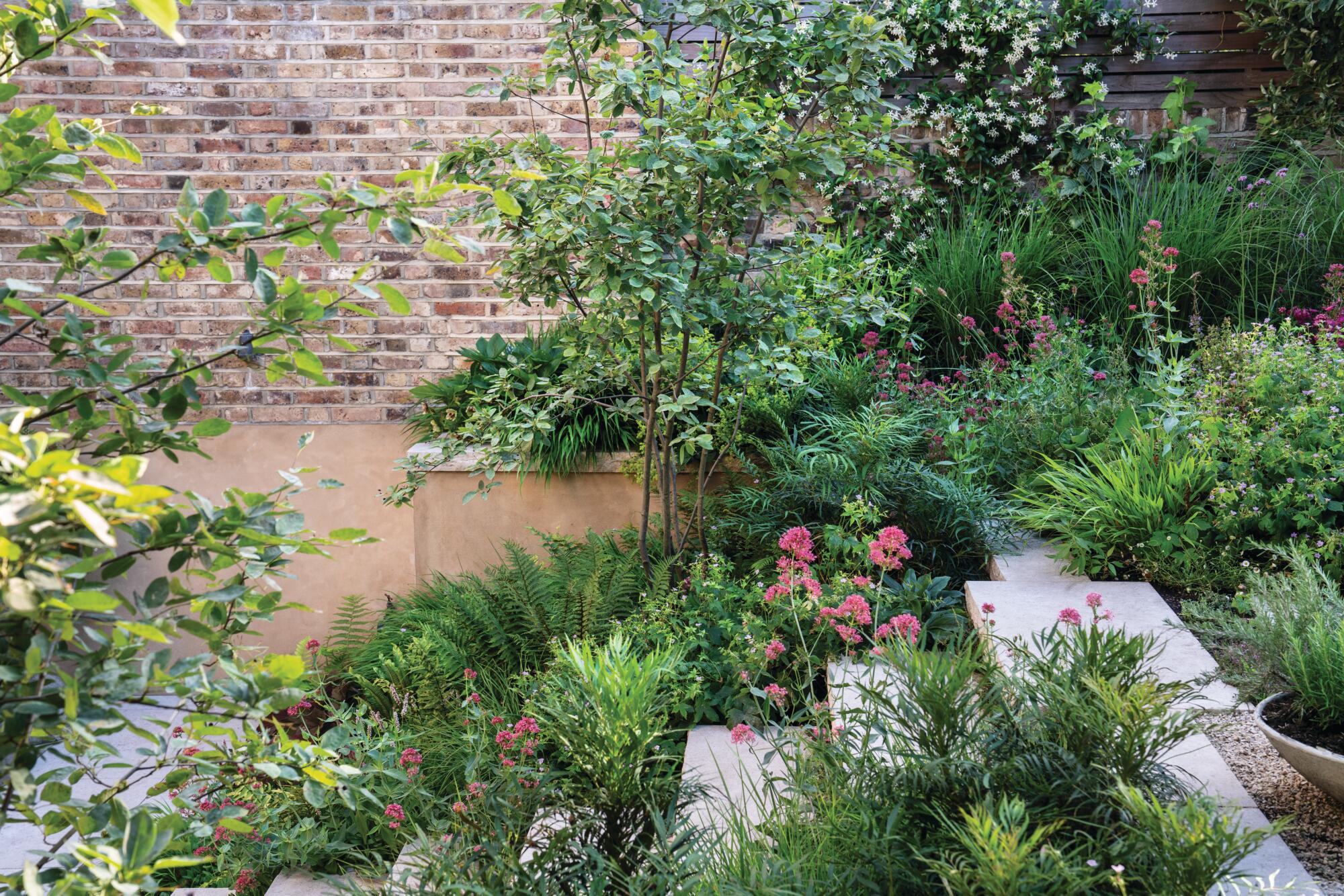 Lulu Roper-Caldbeck sloping garden design