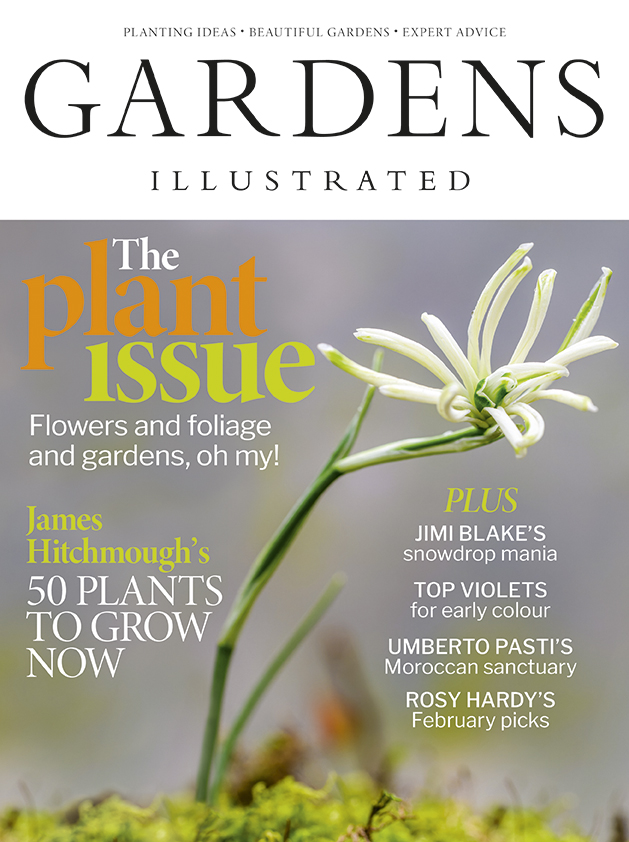 Gardens Illustrated February 2026 issue