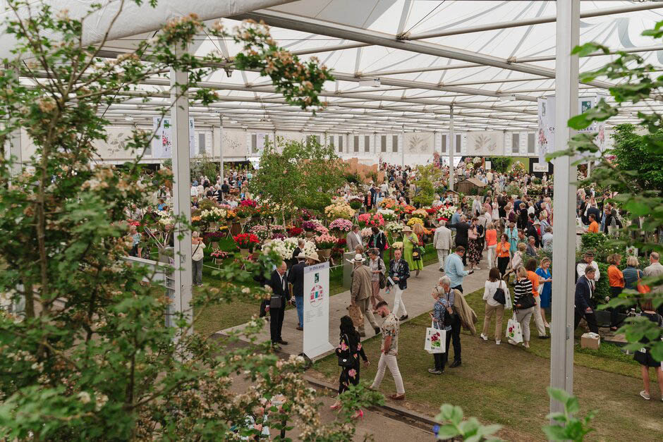 View of the Great Pavilion at the RHS Chelsea Flower Show