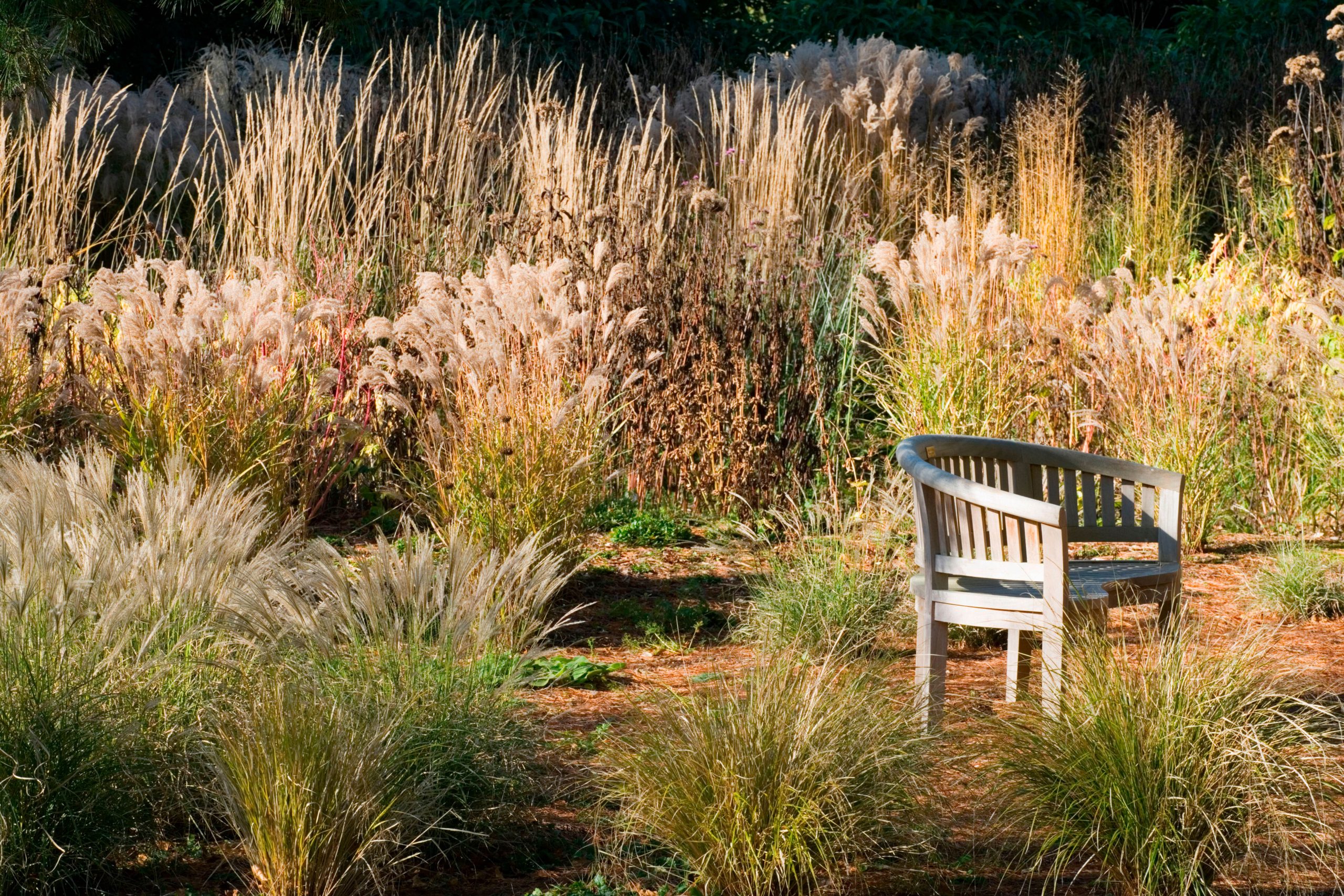 Knoll Gardens © Alamy