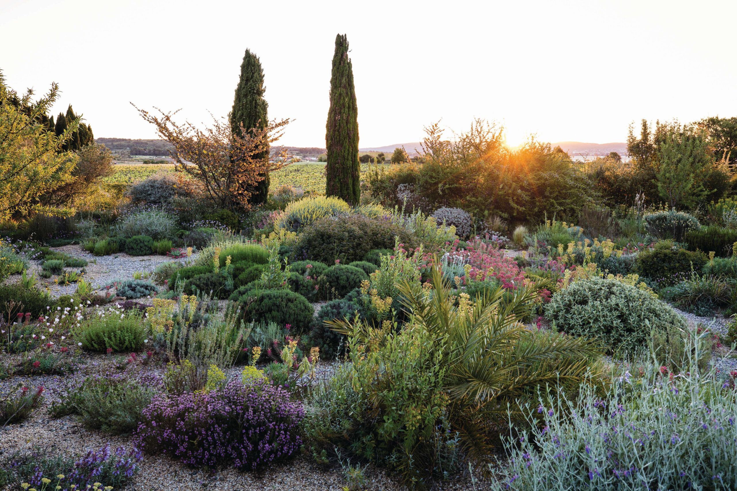 Olivier and Clara Filippi's Le Jardin Sec